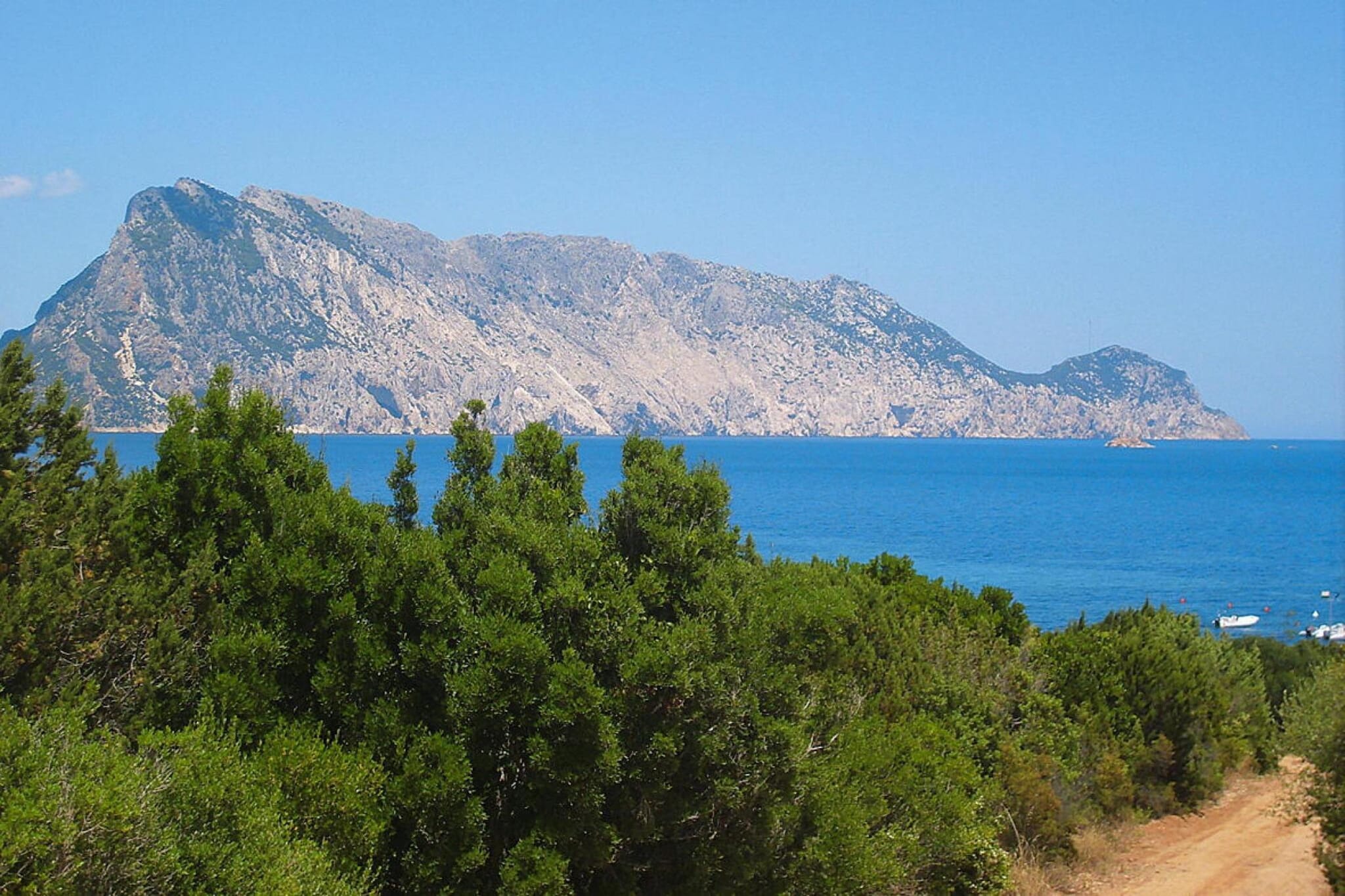 Residence La Tartaruga, Monte Petrosu-trilo 6-trilo 6-Gebieden zomer 1km