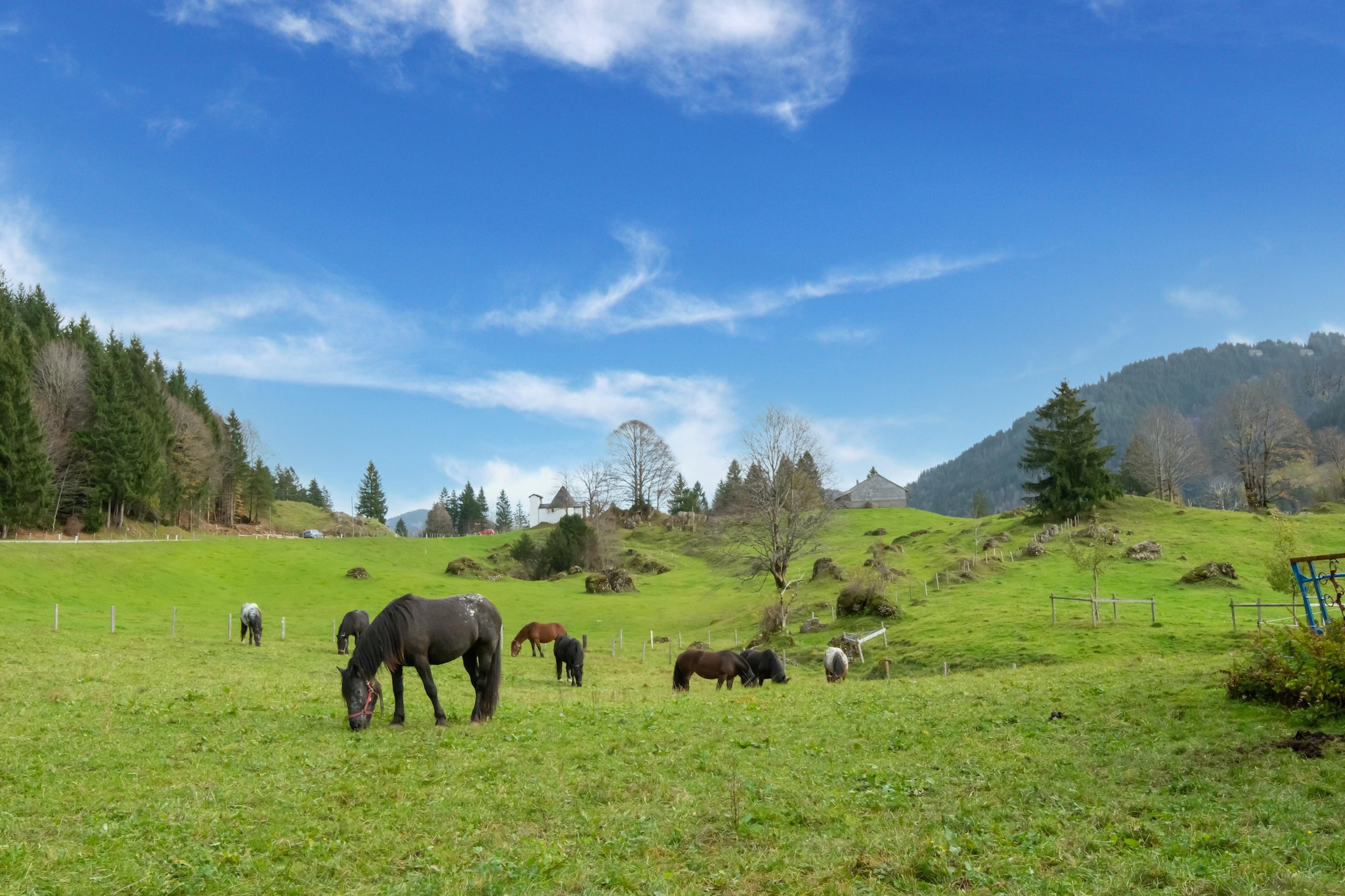 Residence Gritschhof - Gebiete Sommer 5 km