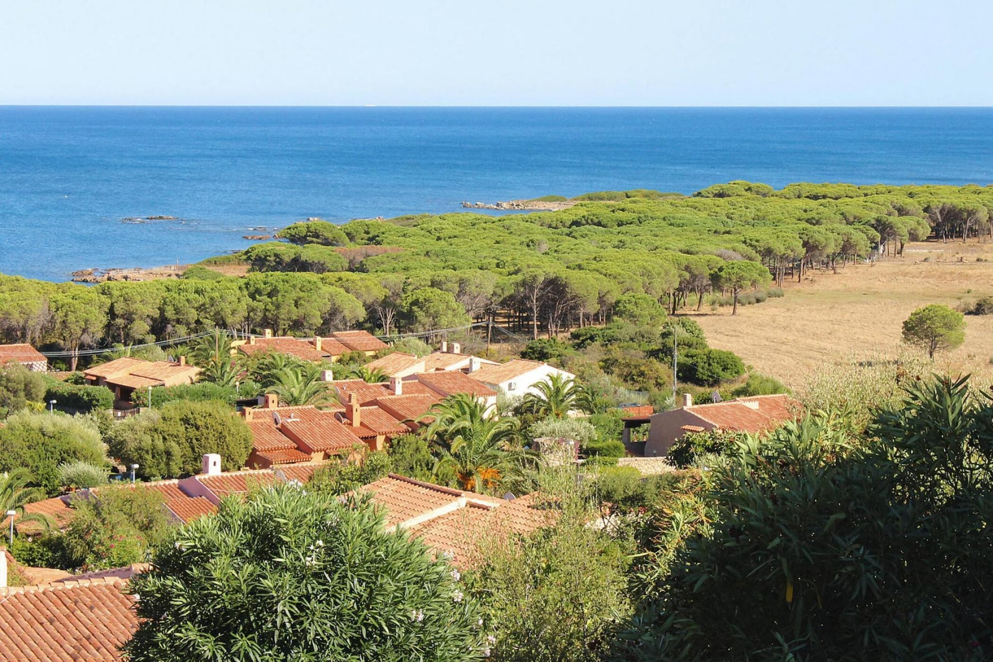 View Summer