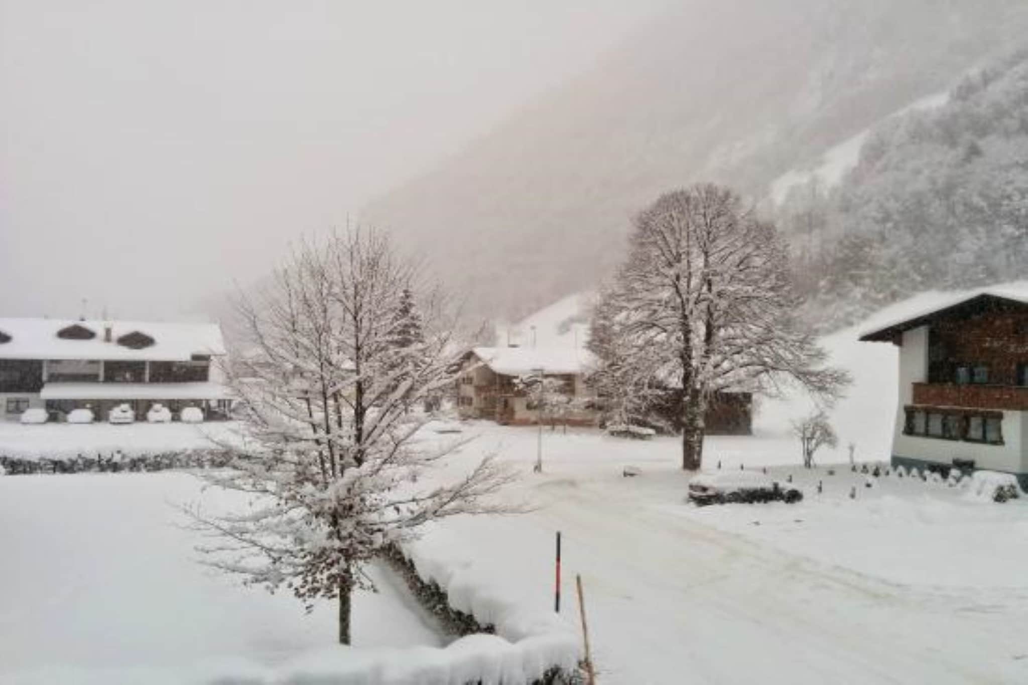 View Winter