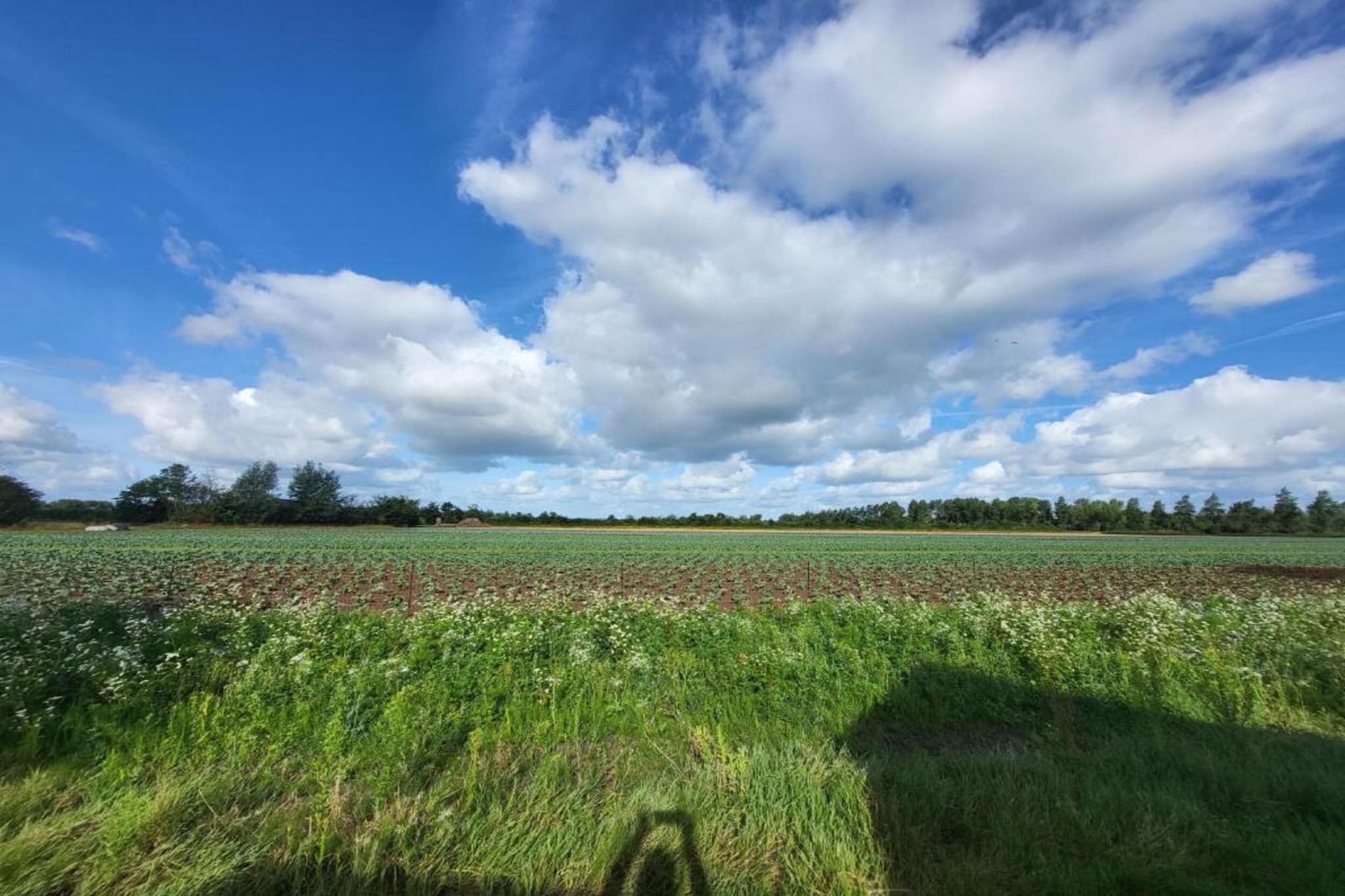 Kon Emmaweg 26 Vrouwenpolder 2p-Gebieden zomer 20km