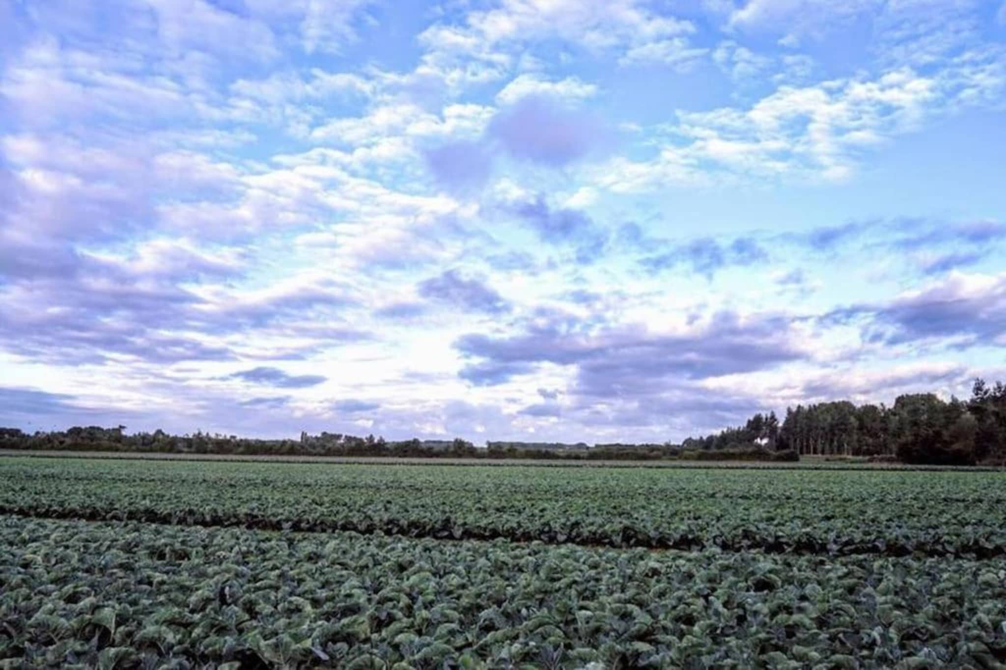 Oranjezon app 4p-Gebieden zomer 20km