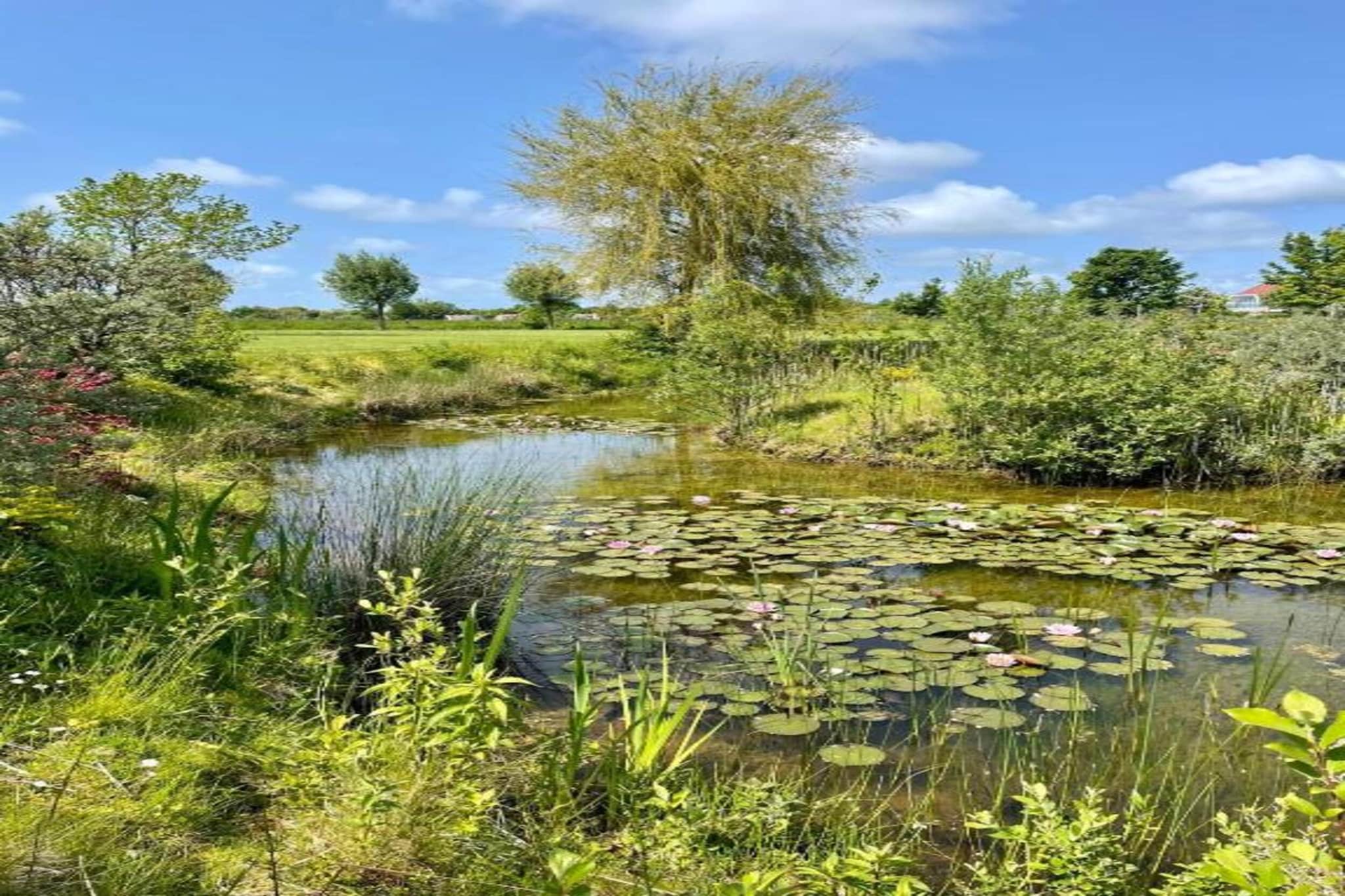 Oranjezon app 4p-Gebieden zomer 20km