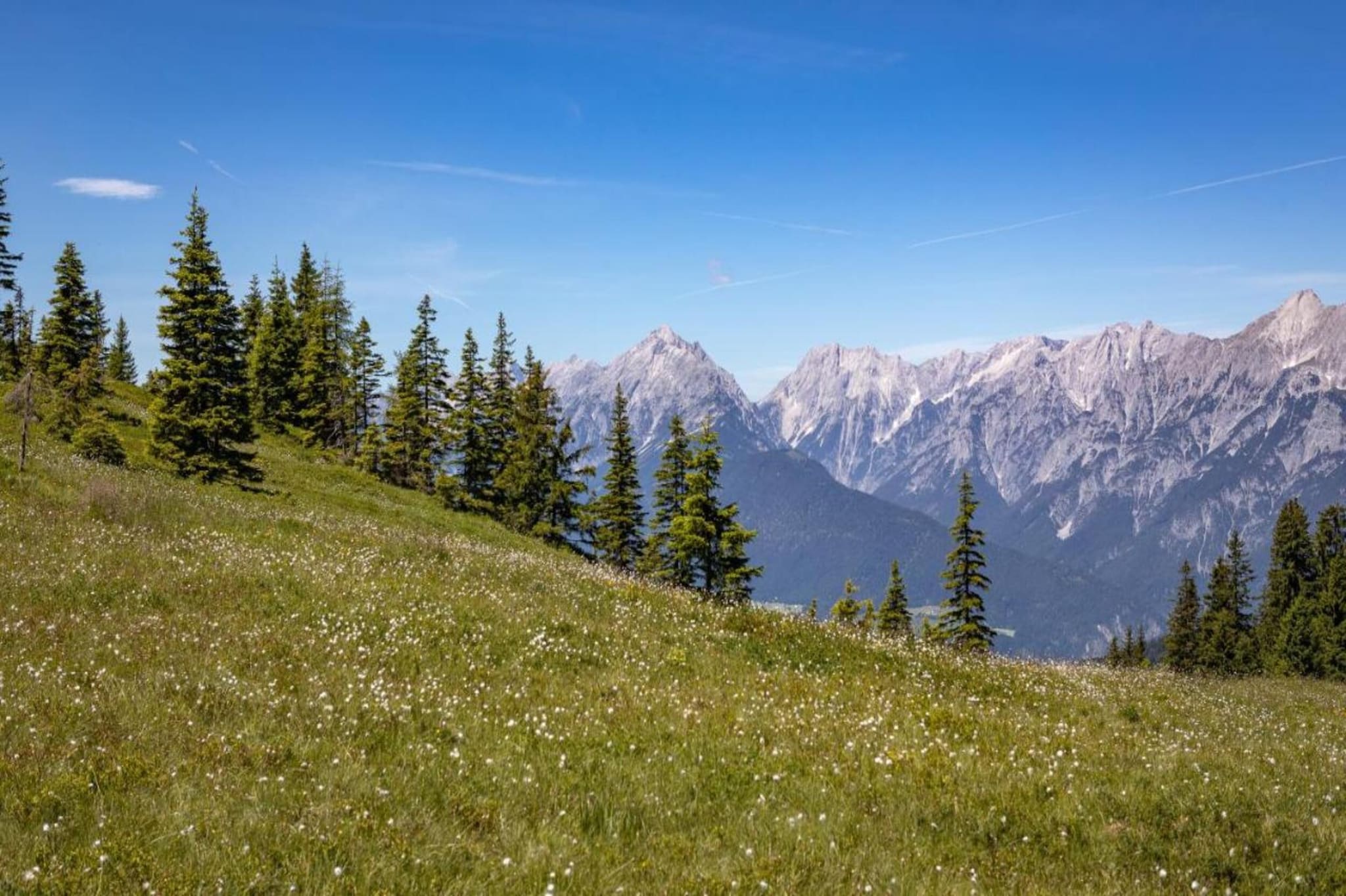 Thaler Hütte - Gipfelstürmer-Areas summer 20km