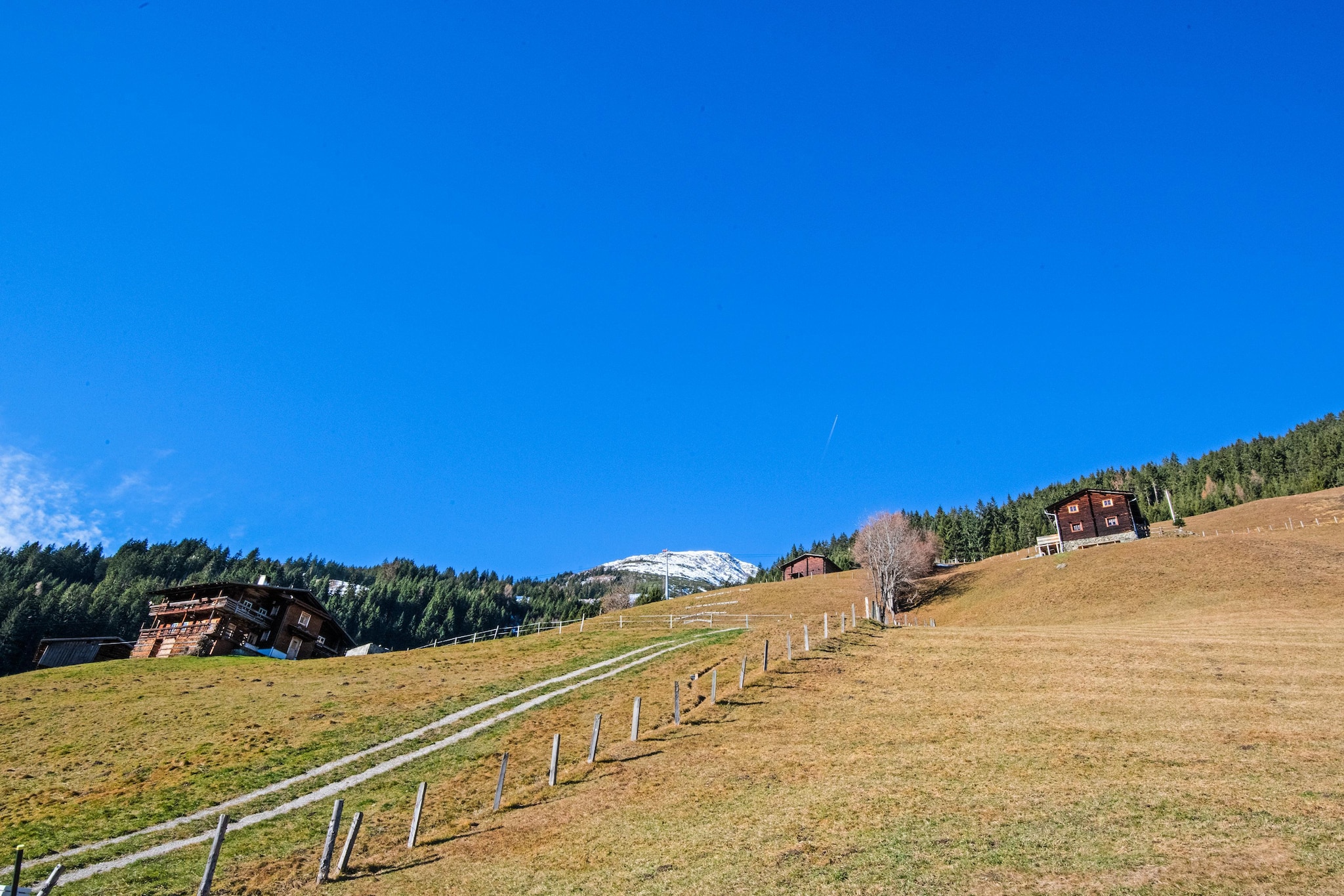 Thaler Hütte - Almzauber