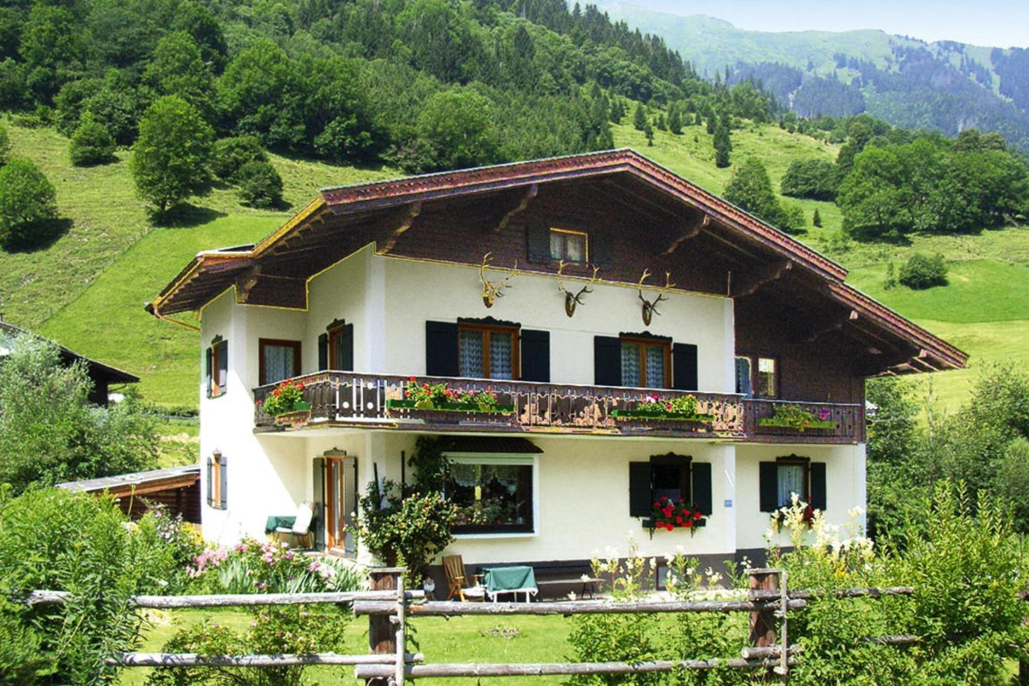 Exterior Summer