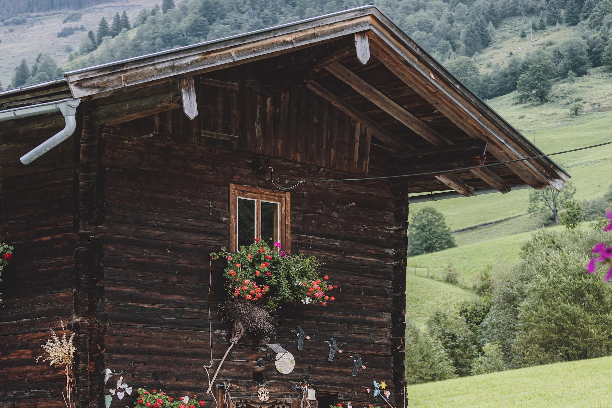 Exterior Summer