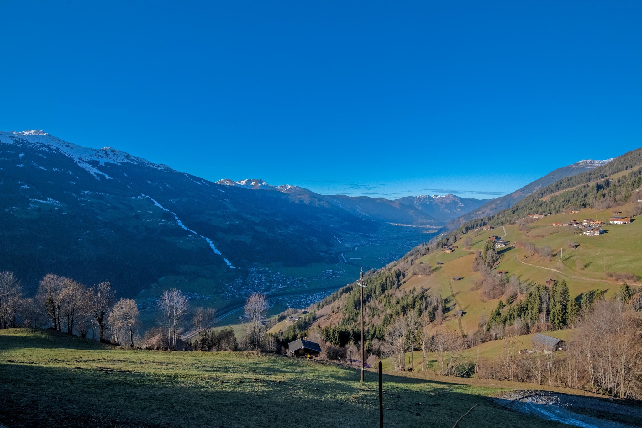 Vogalnest-Areas within 1km in summer