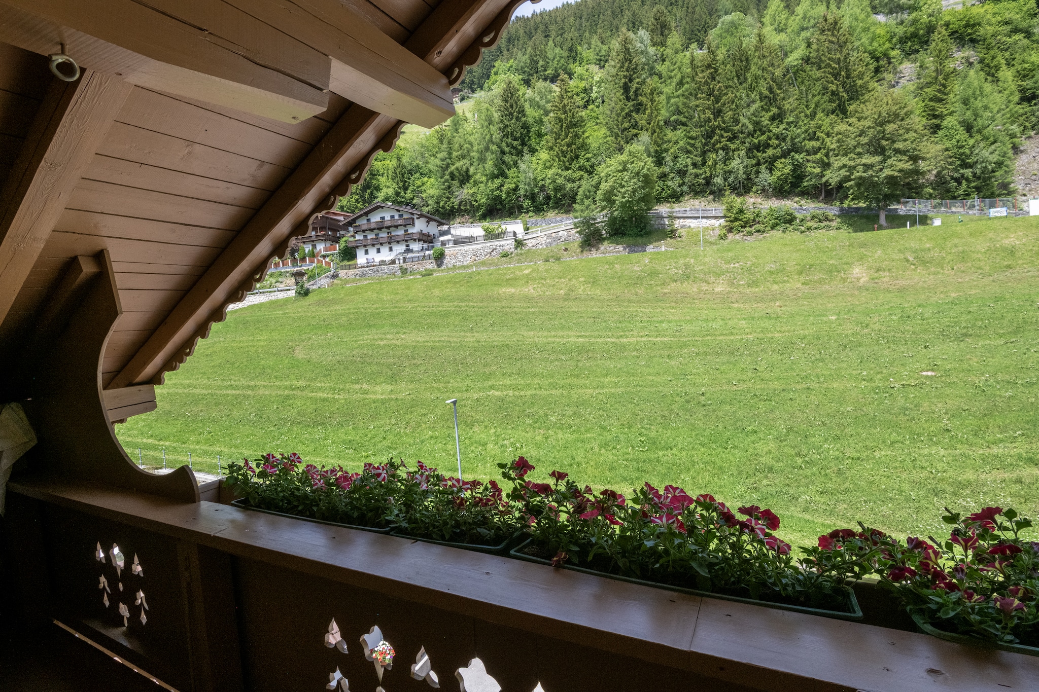 Haus Hoflacher - Uitzicht zomer
