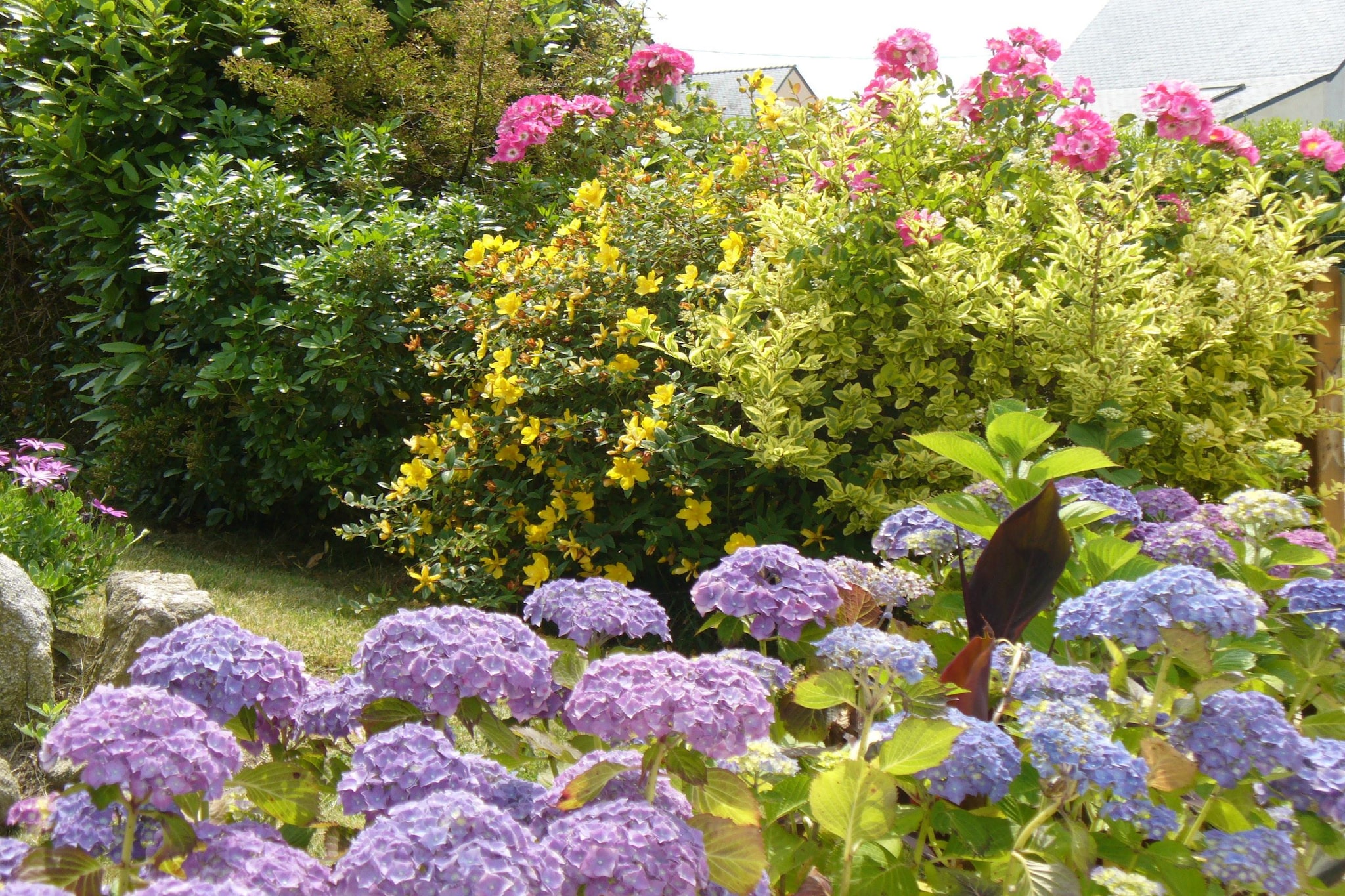 Garden Summer