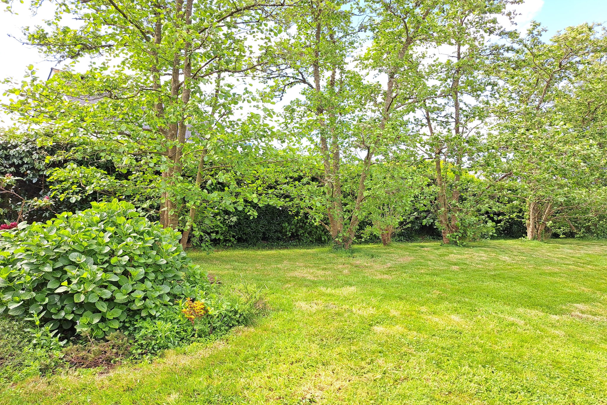 Garden Summer