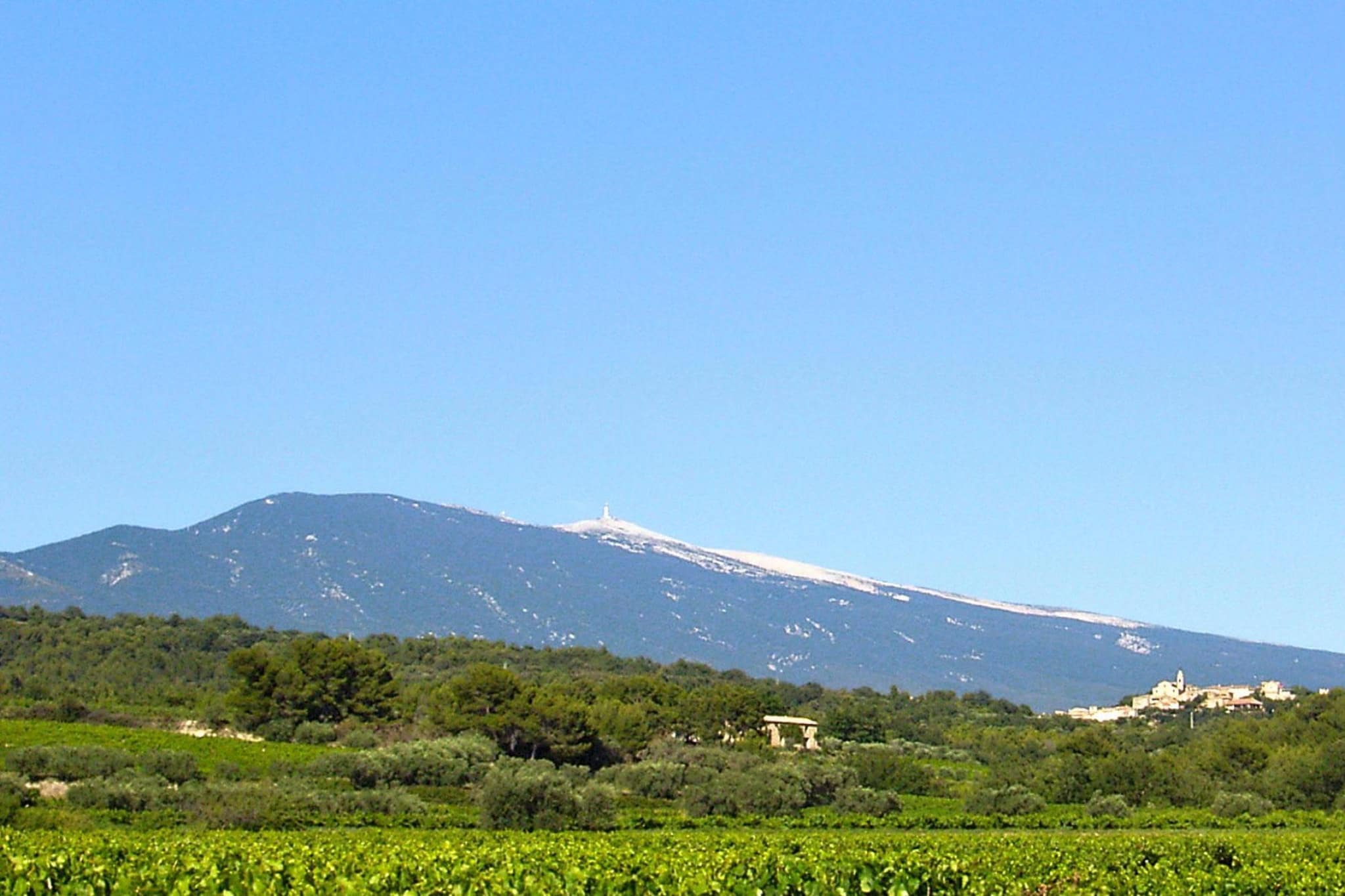 Ferienwohnung in Malaucène / Olivia - Areas within 5km in summer