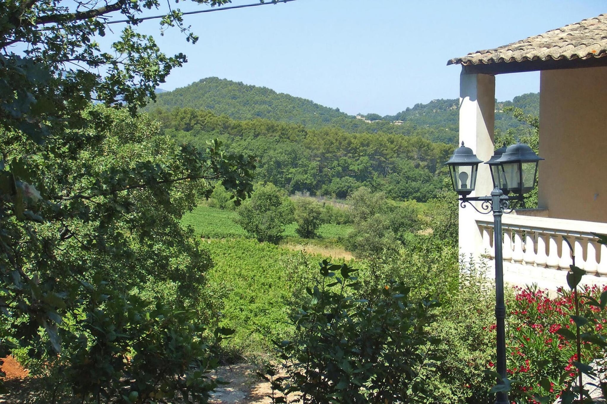 View Summer