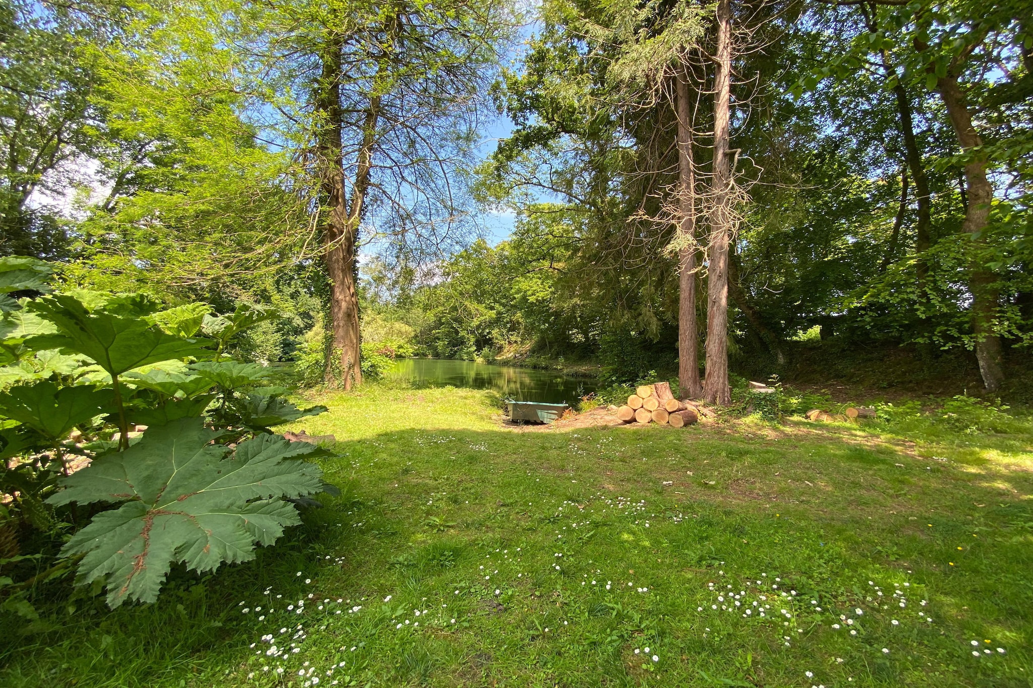 Garden Summer