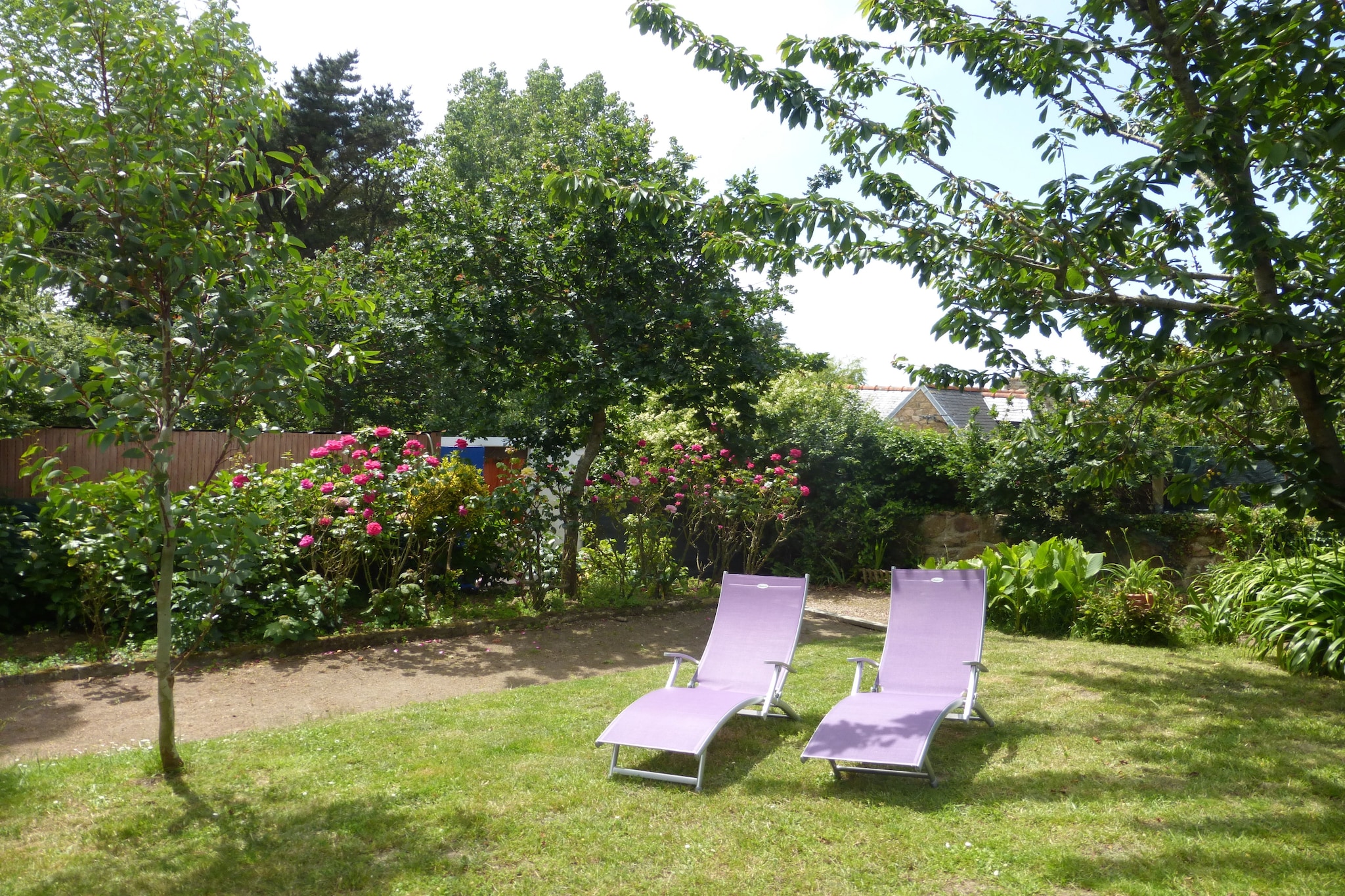 Garden Summer