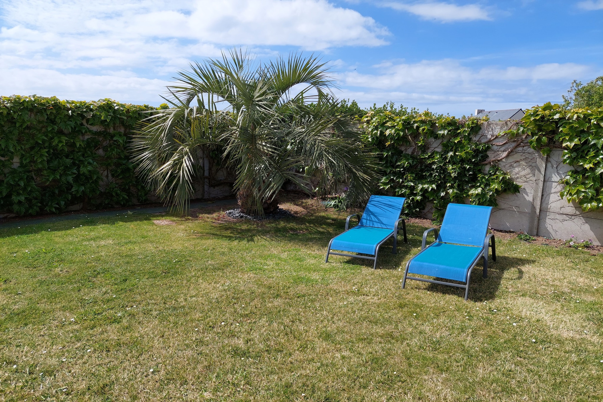 Garden Summer