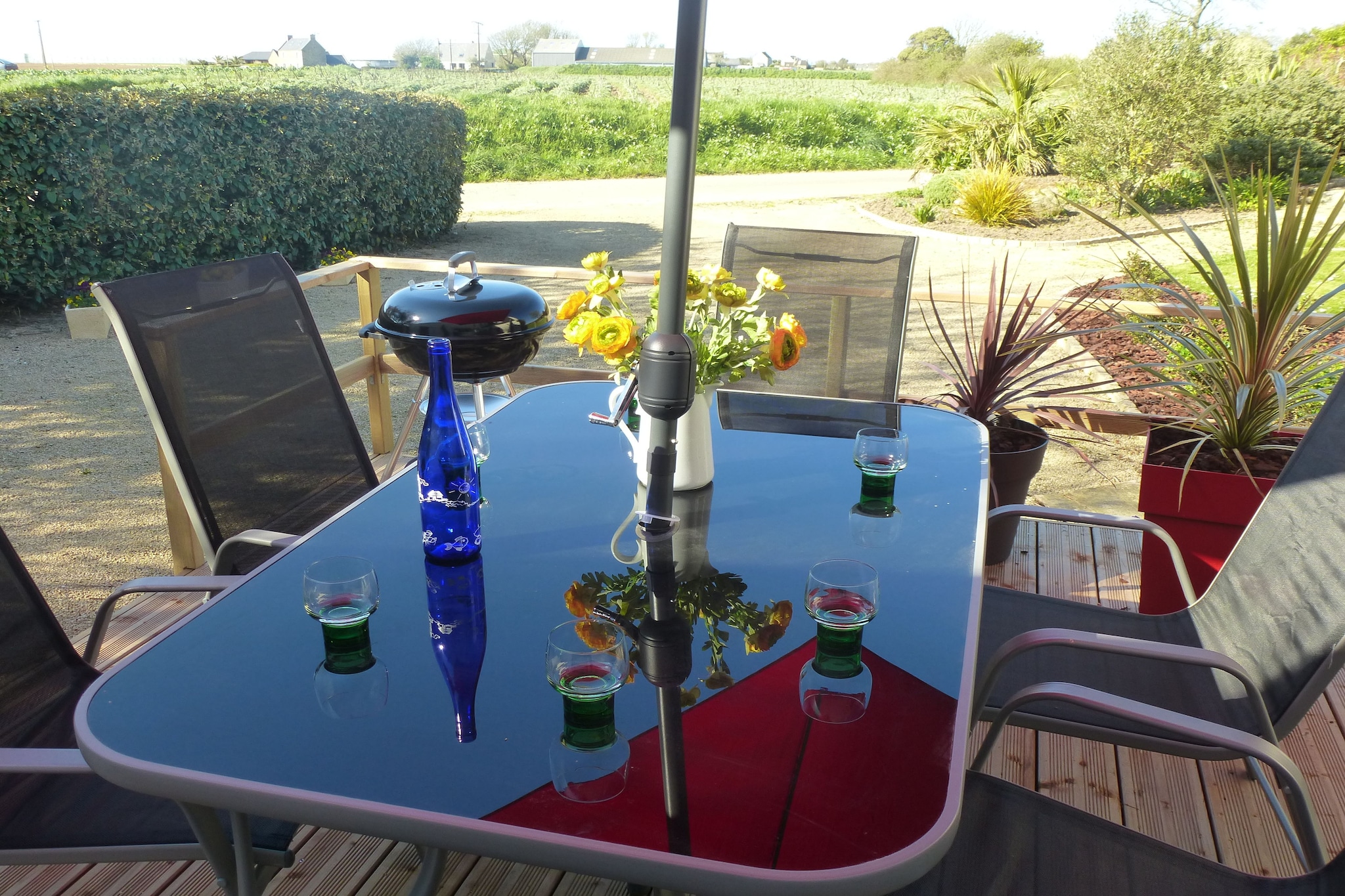 Terrace Balcony