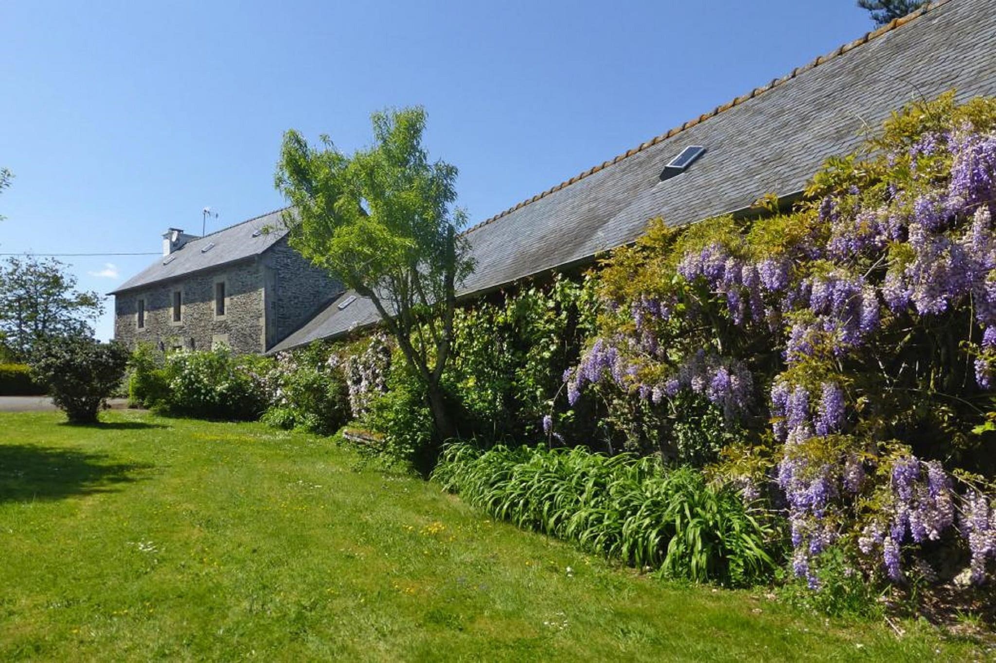 Exterior Summer