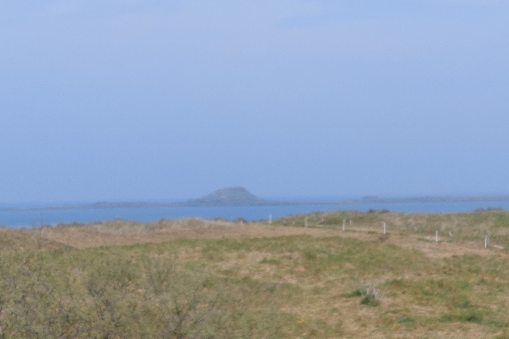 View Summer