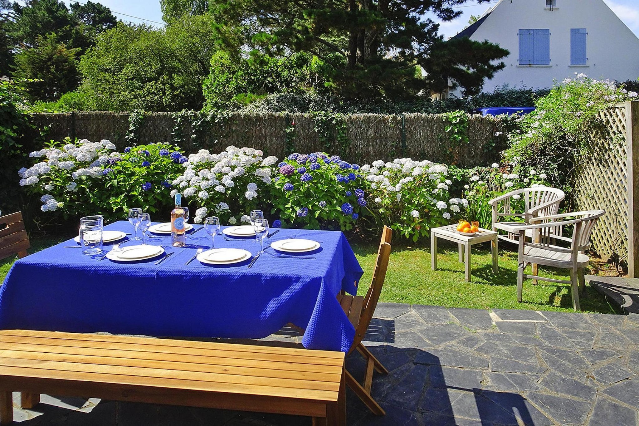 Garden Summer