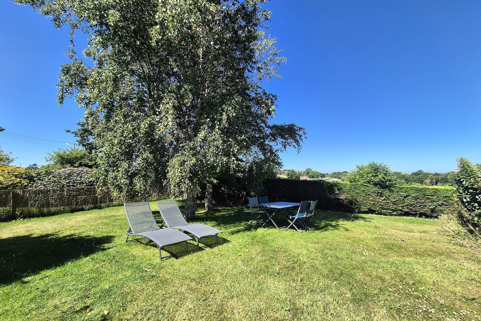 gardensummer