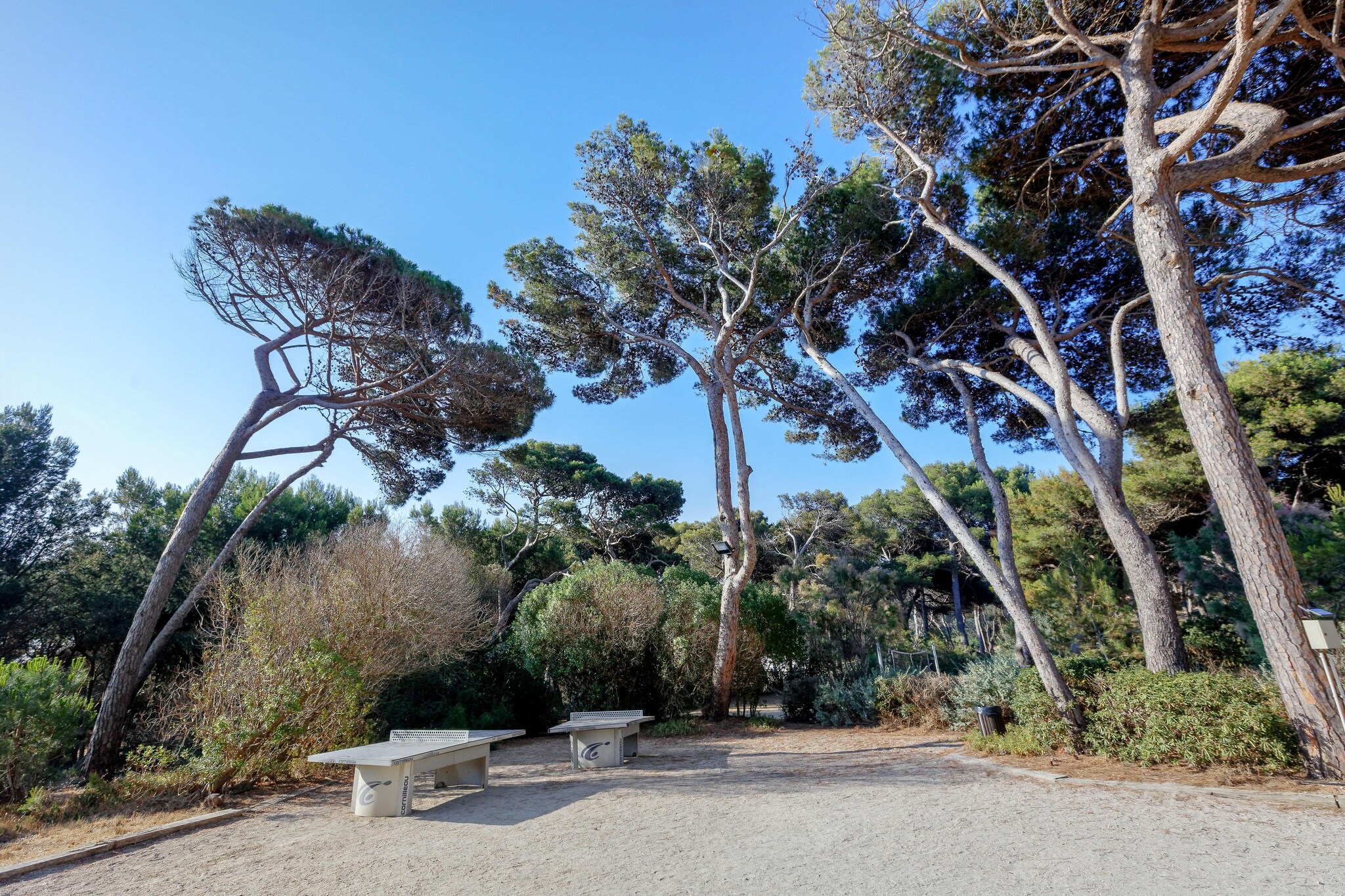 Park Facilities