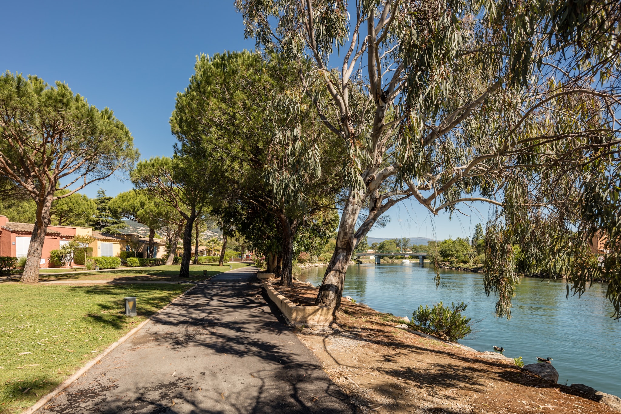 Park Facilities
