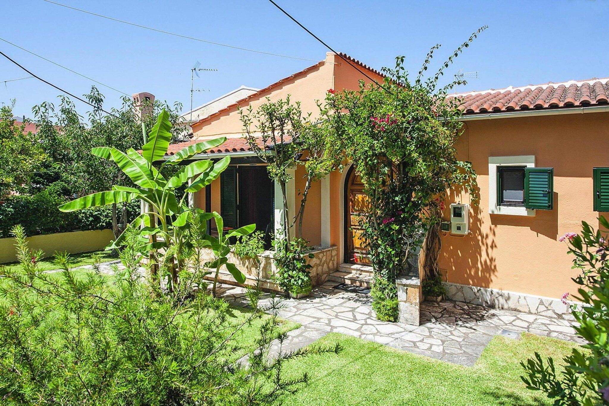 Exterior Summer