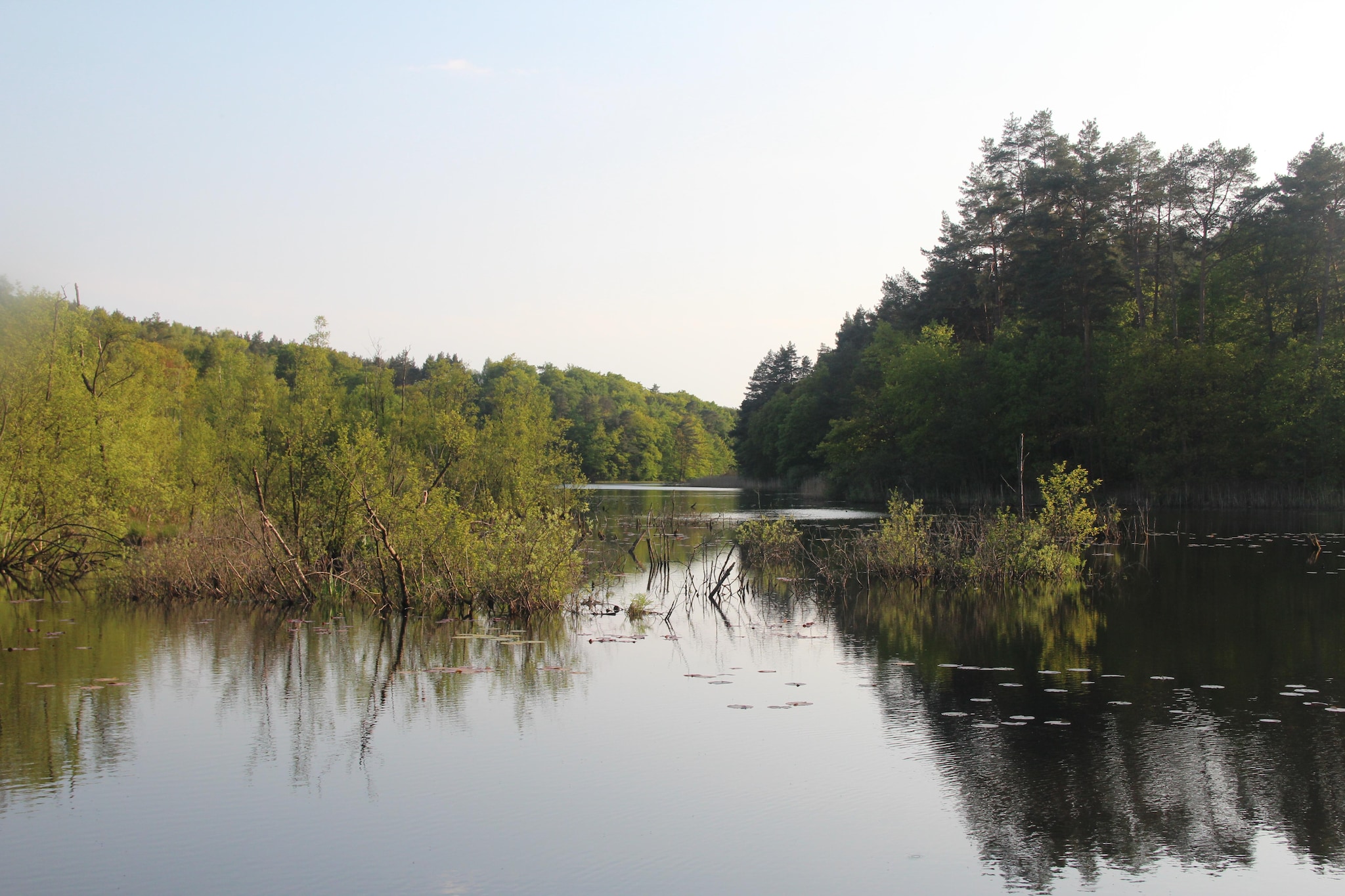 Holiday flat in Kolczewo70 qm for 6 persons-Zones été à 1 km