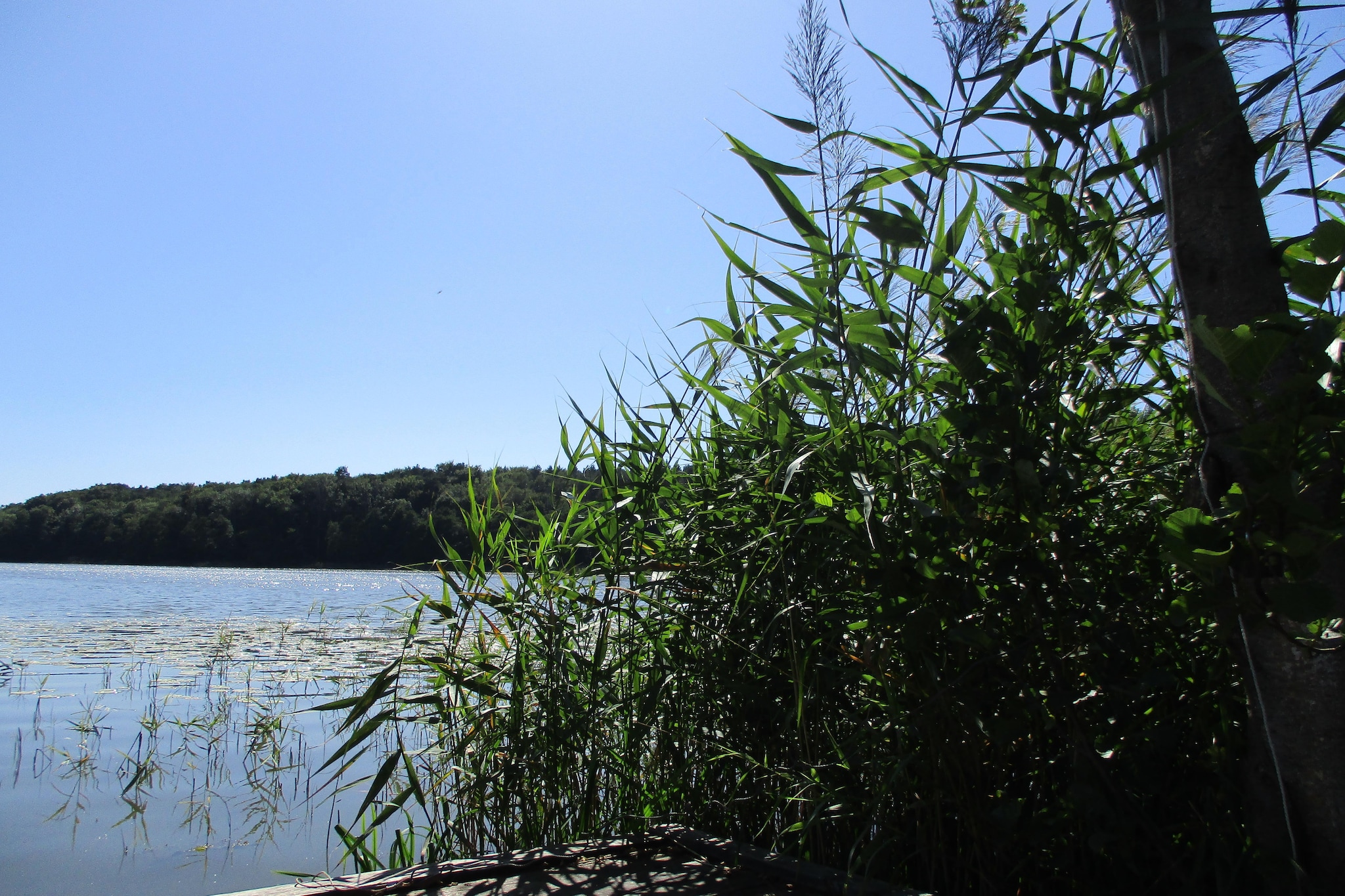 Holiday flat in Kolczewo70 qm for 6 persons-Zones été à 1 km
