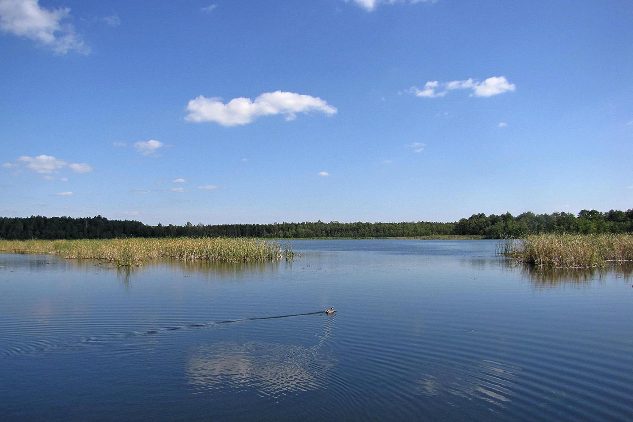 Holiday home Wilkasy-Gebieden zomer 1km