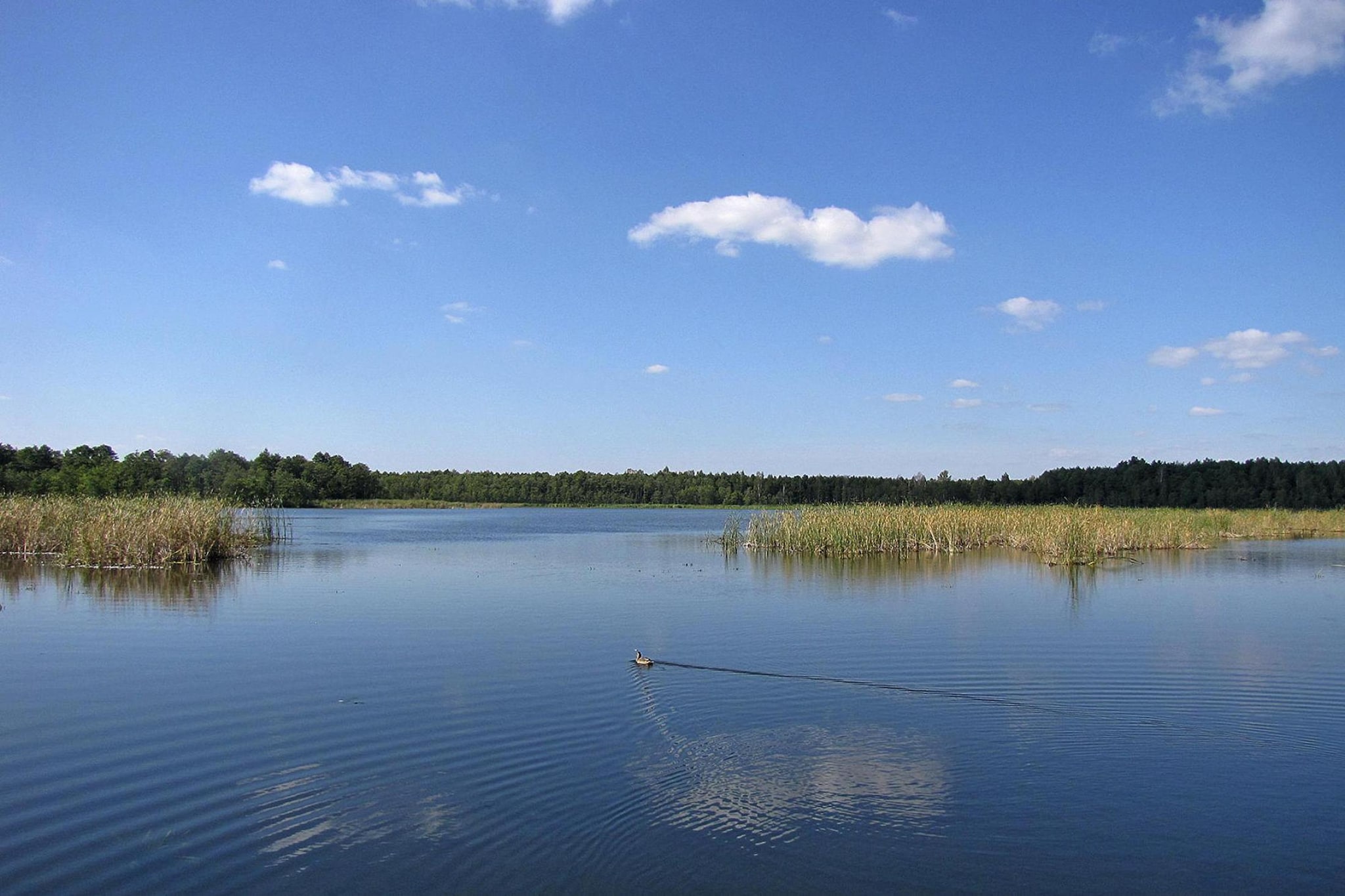 Holiday home Wilkasy-Gebieden zomer 1km