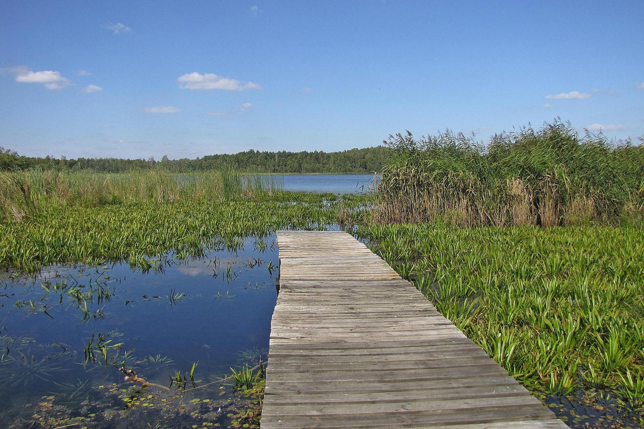 Holiday home Wilkasy-Gebieden zomer 5km