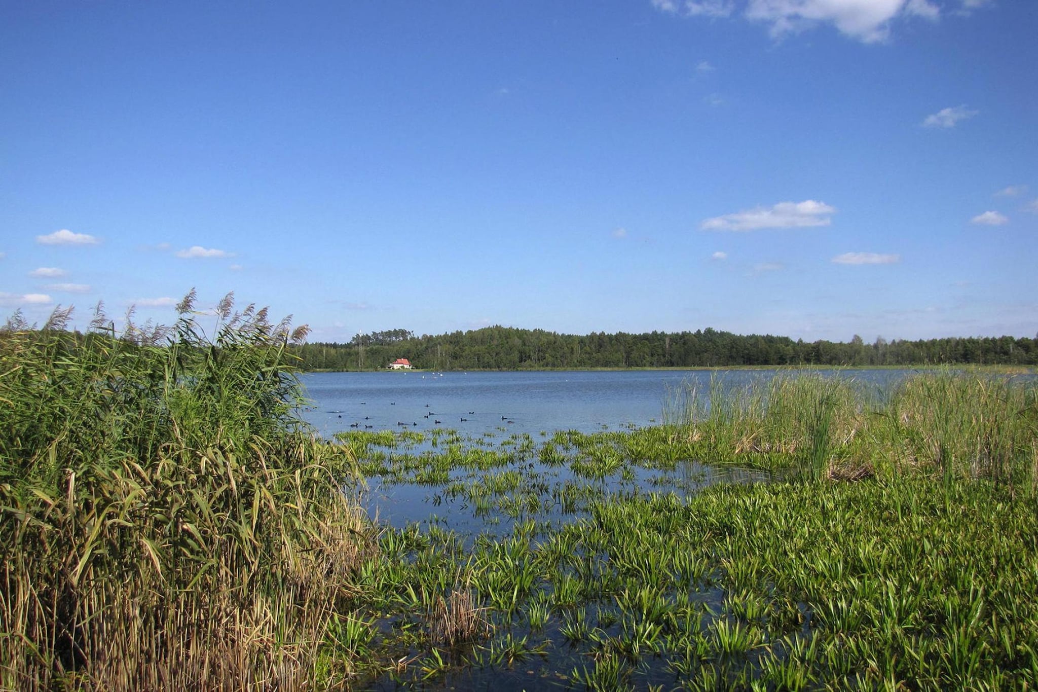 Holiday home Wilkasy-Gebieden zomer 5km