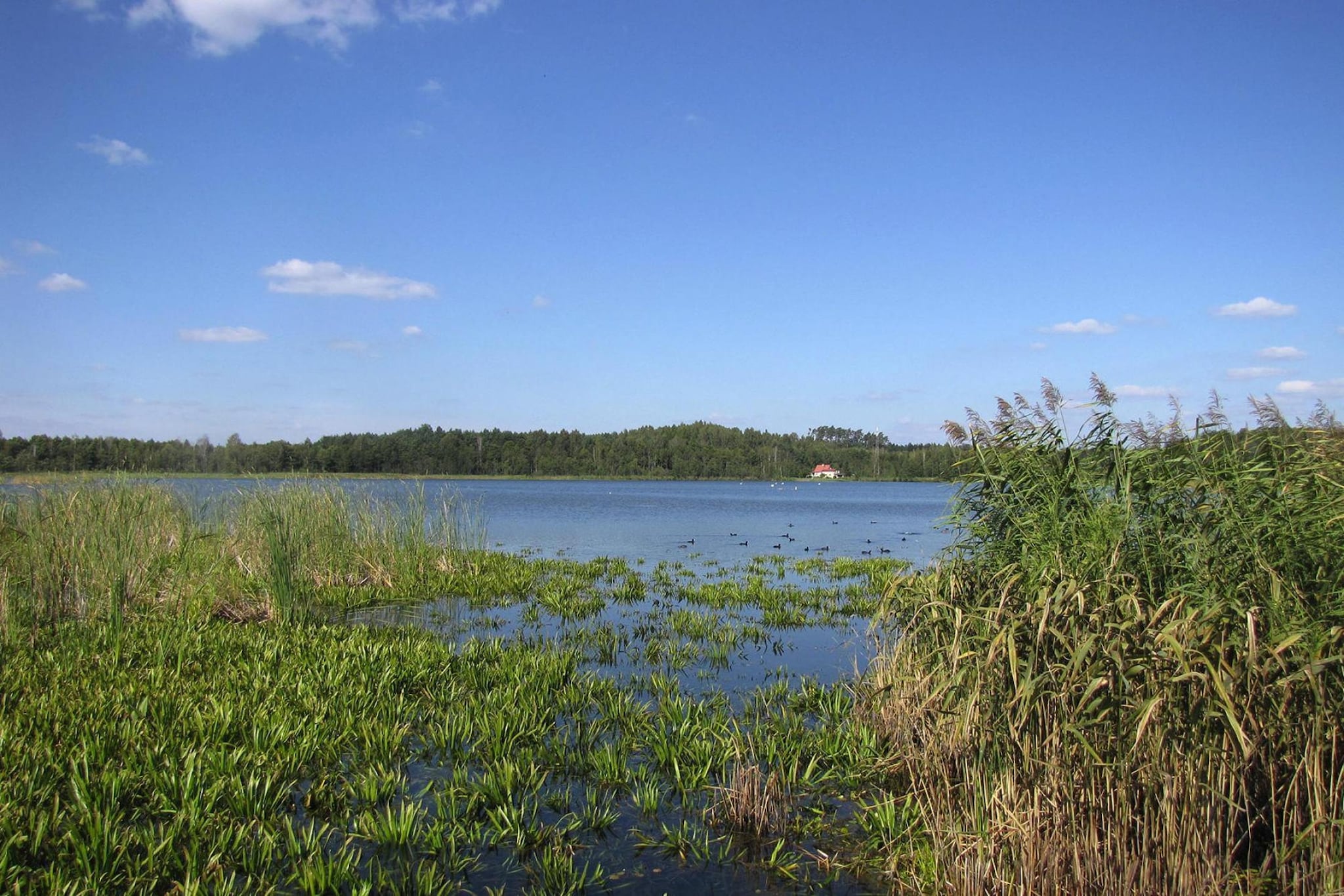 Holiday home Wilkasy-Gebieden zomer 5km