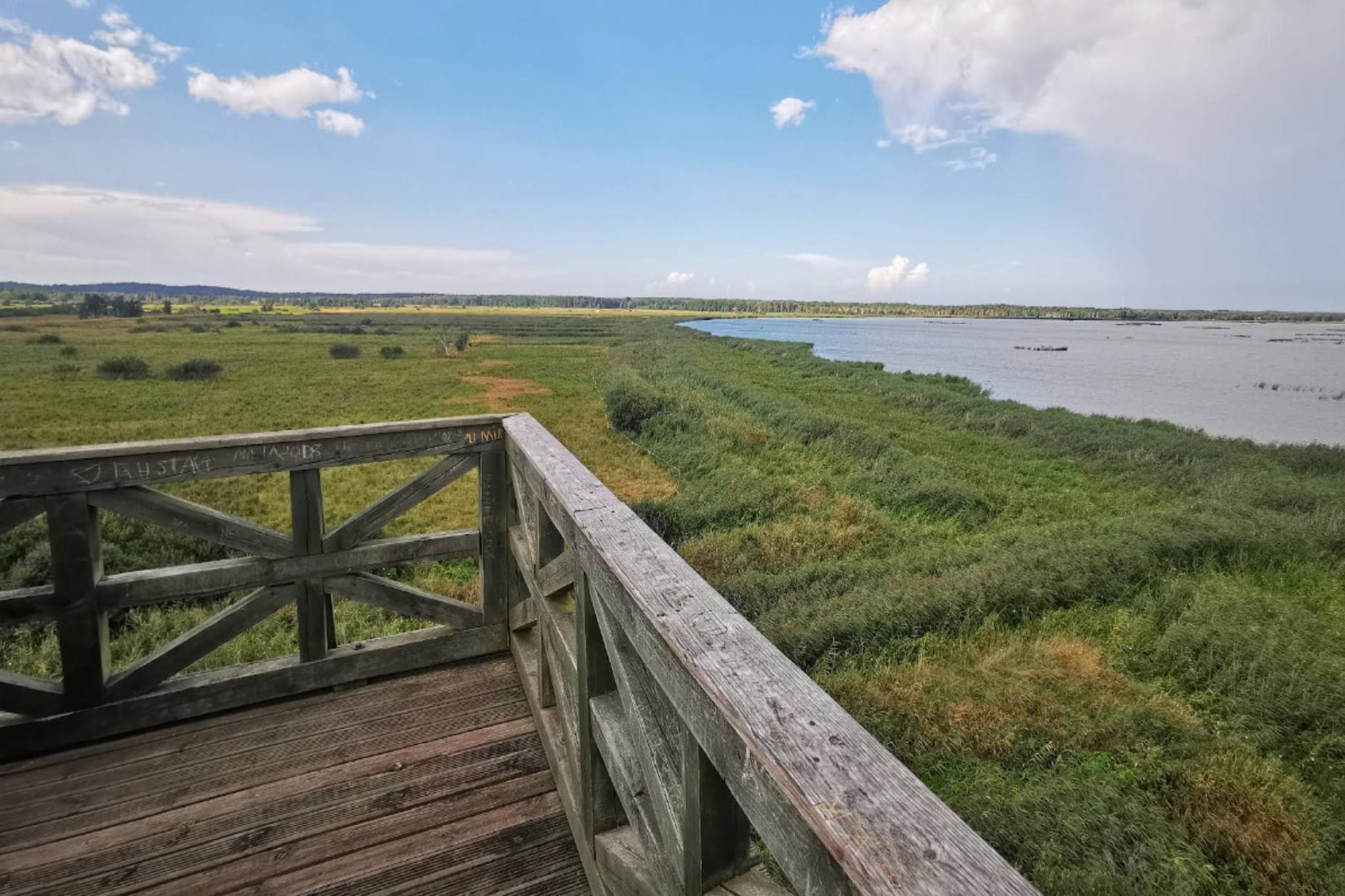 Dom wakacyjny w Dębinie - Aussicht Sommer