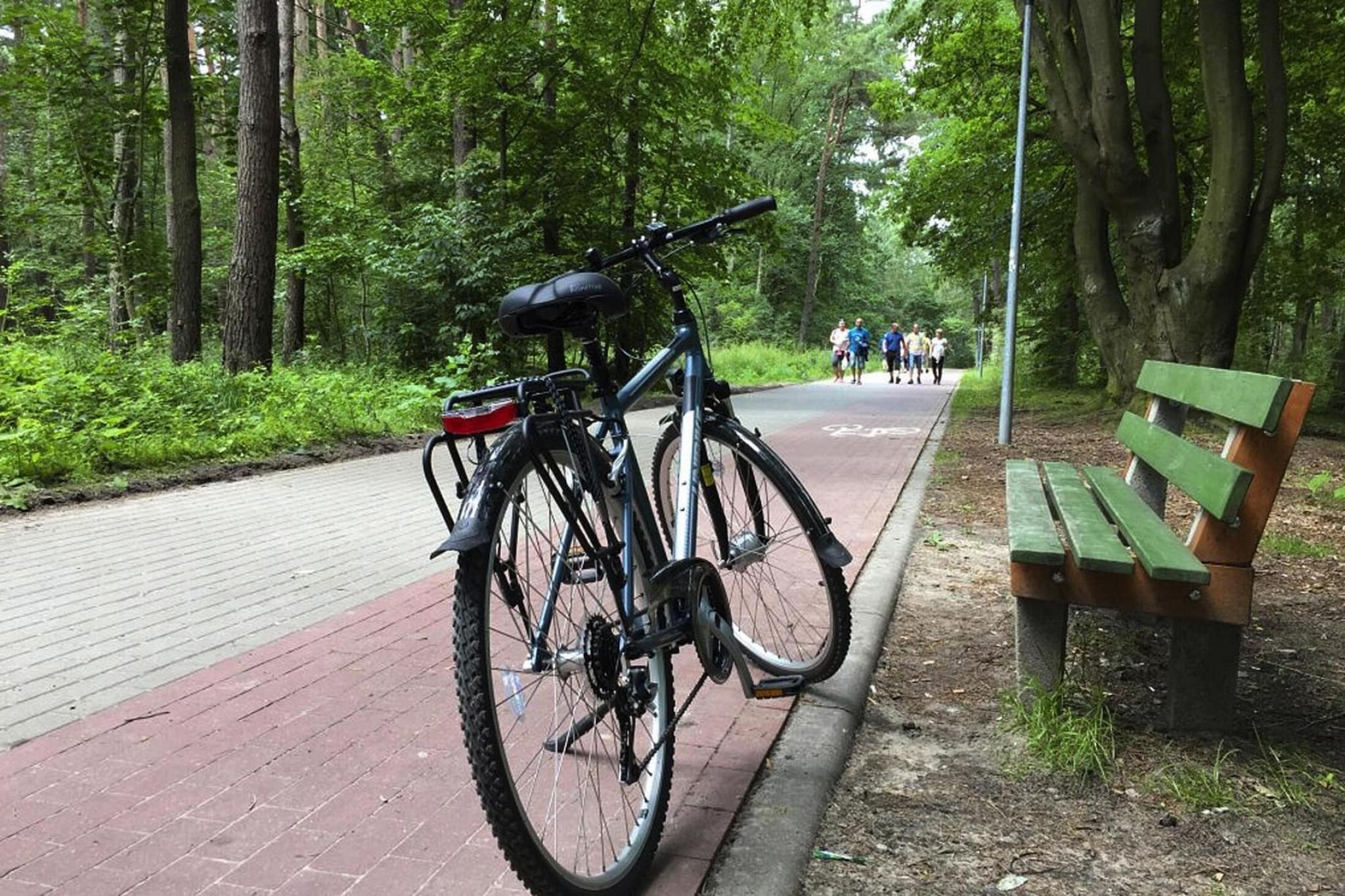 Domki wakacyjne BAJKA Przewłoka-Gebieden zomer 1km