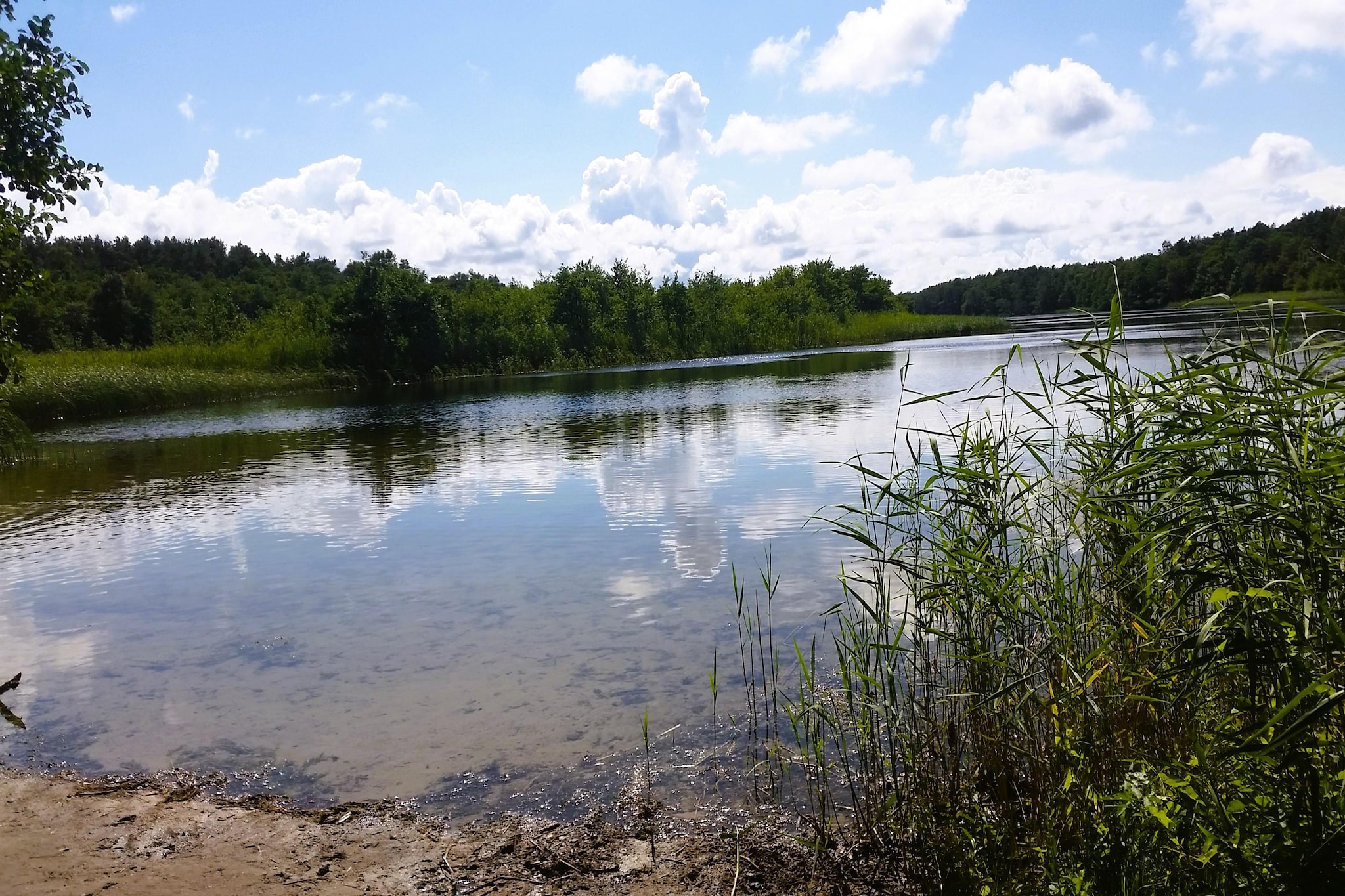 Holiday accomodations Kolczewo Nr 4 i 4a-Areas within 1km in summer