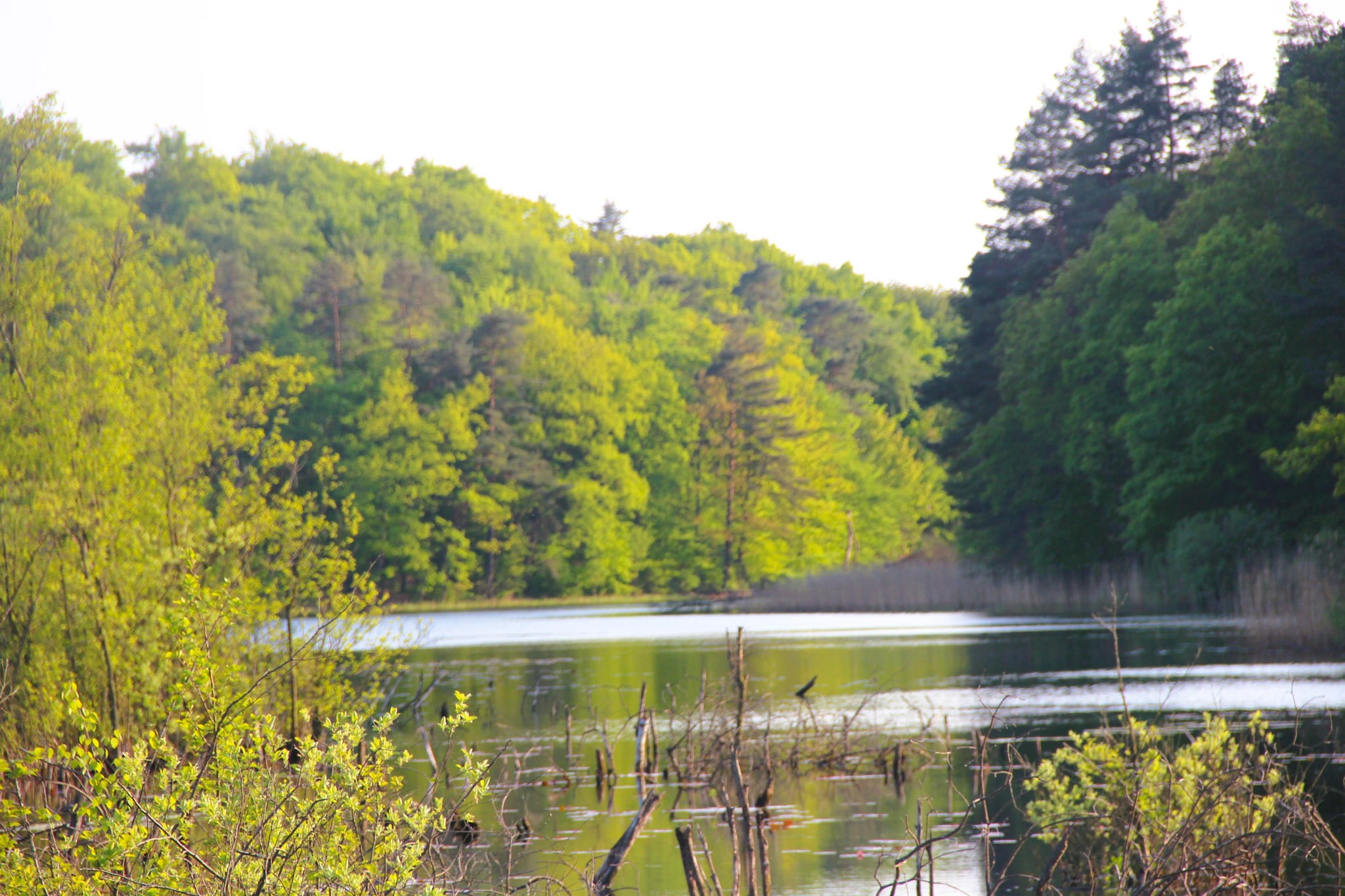 Holiday accomodations Kolczewo Nr 5-Gebieden zomer 1km