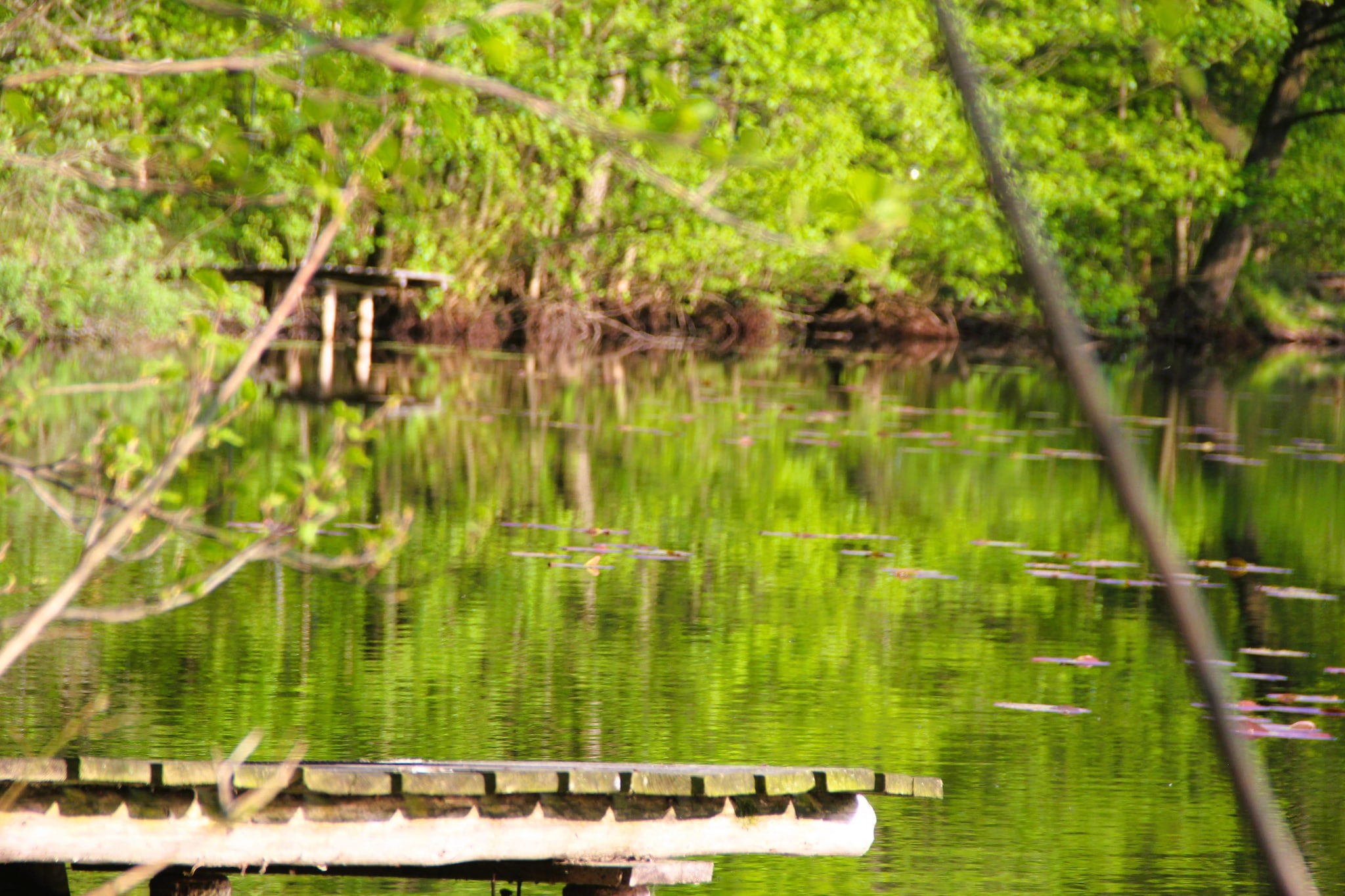 Holiday accomodations Kolczewo Nr 5a-Gebieden zomer 1km