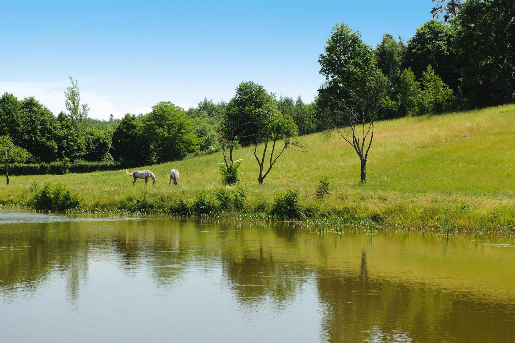 Holiday home Rekowo 120 qm-Uitzicht