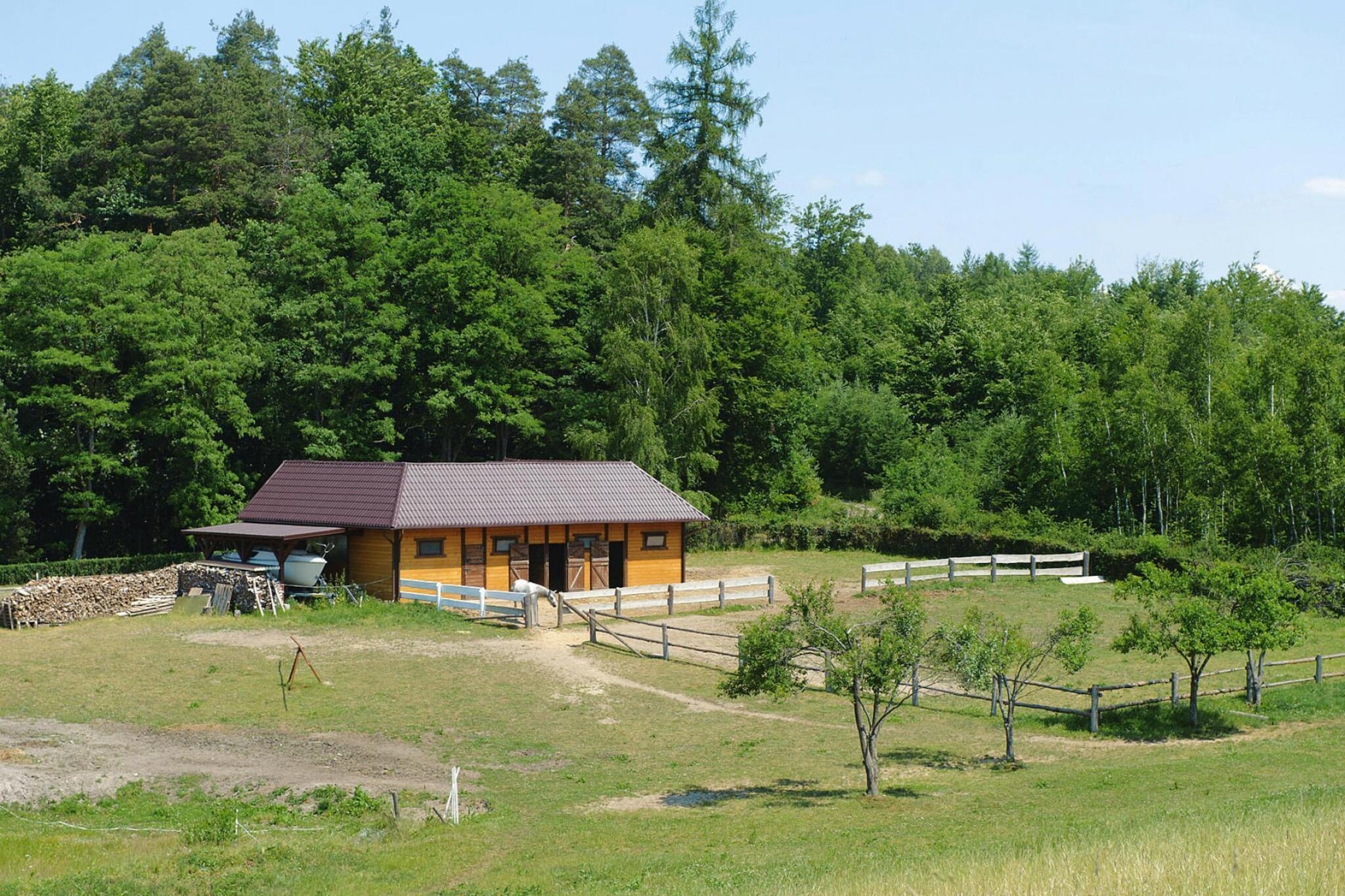 Apartments Rekowo 40 qm-Buitenkant zomer