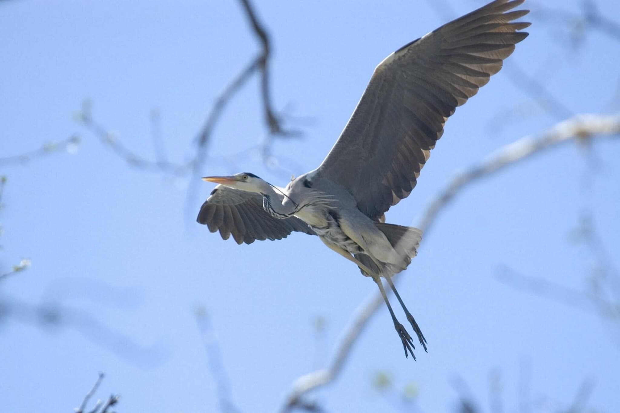 Apartments Rekowo 40 qm-Sfeer