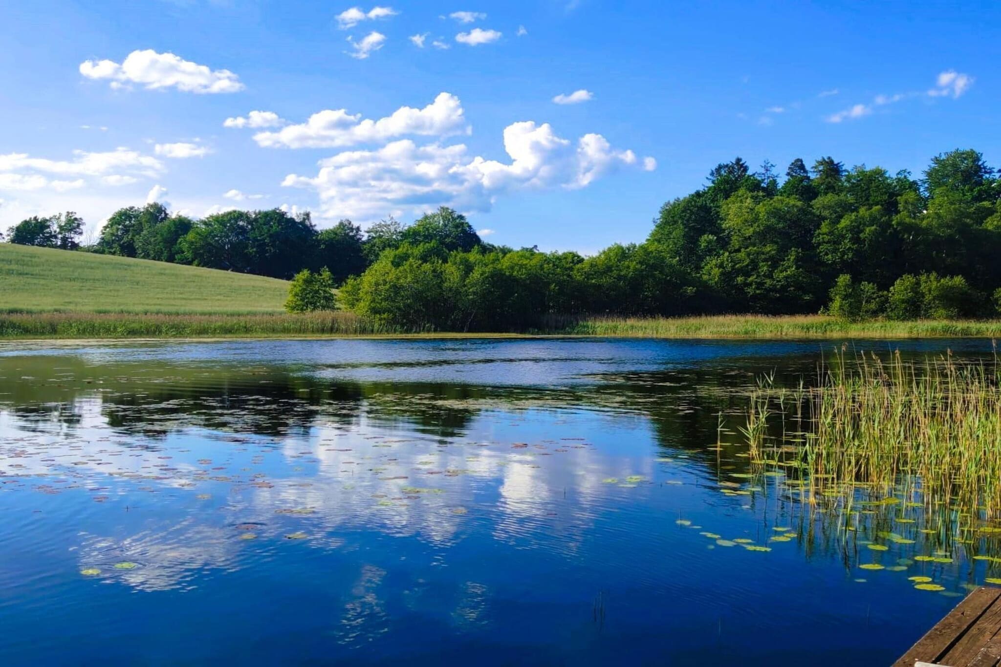 Apartments Rekowo 40 qm-Uitzicht