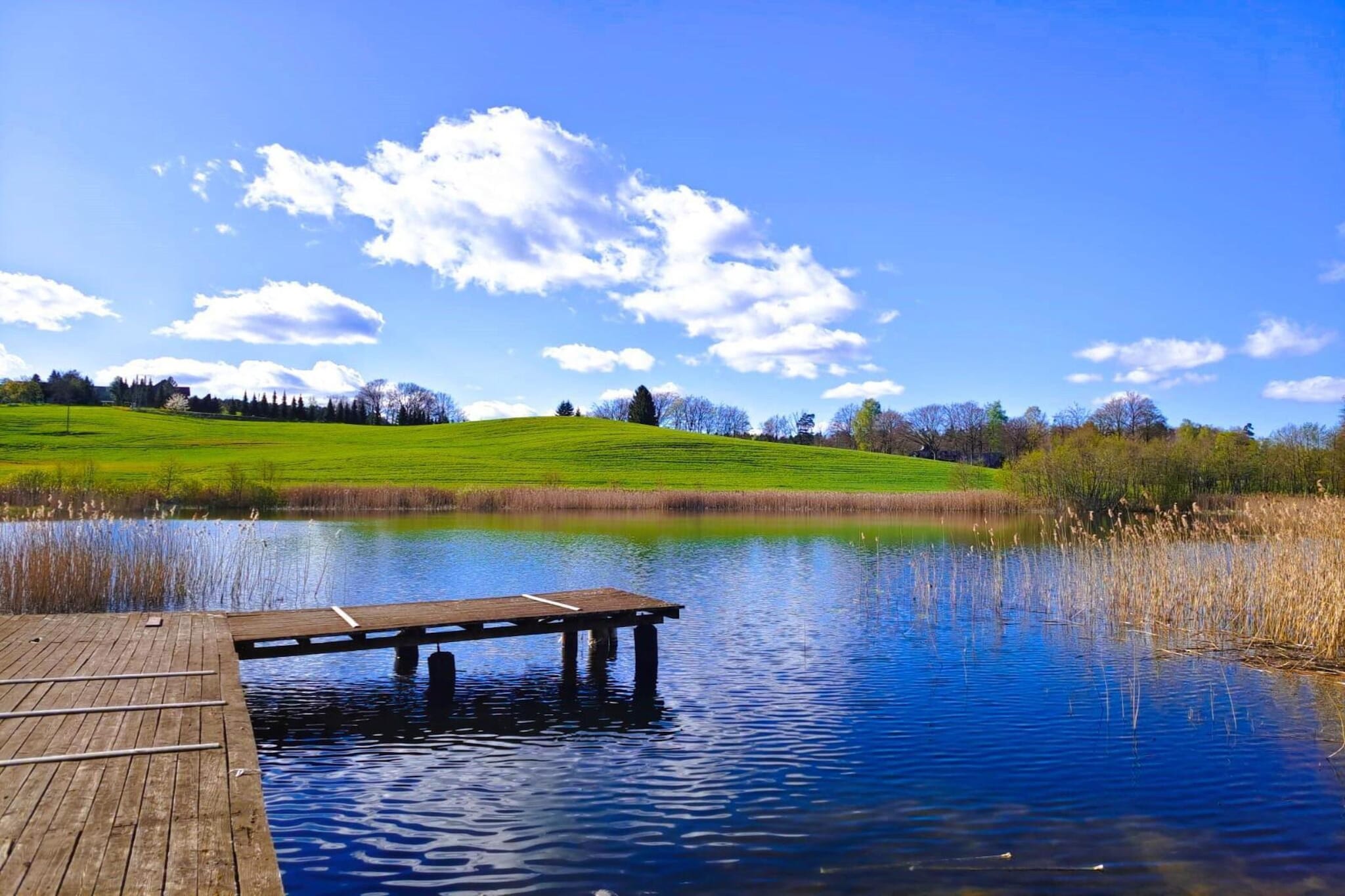 Apartments Rekowo 40 qm-Uitzicht