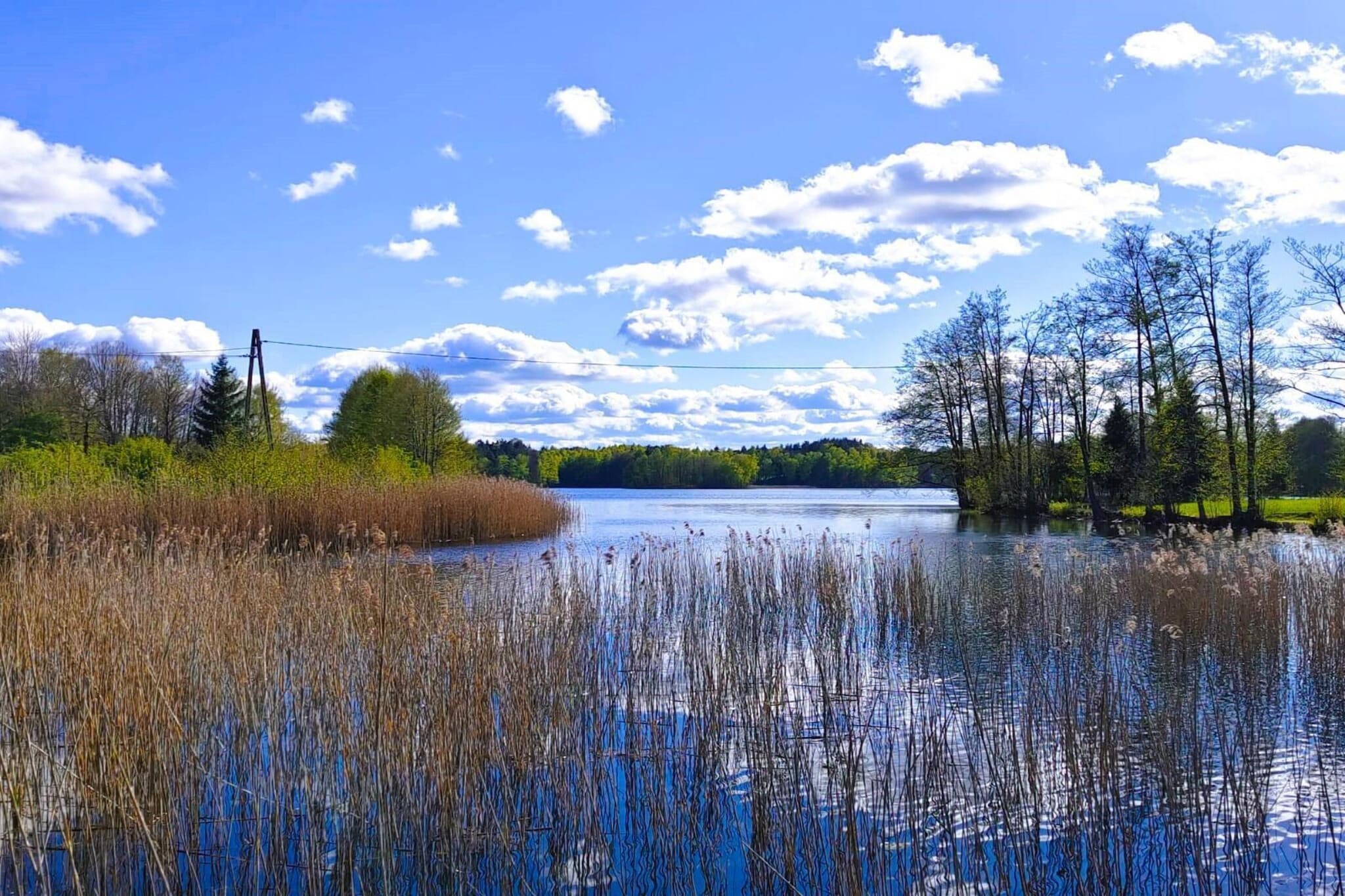 Apartments Rekowo 40 qm-Uitzicht