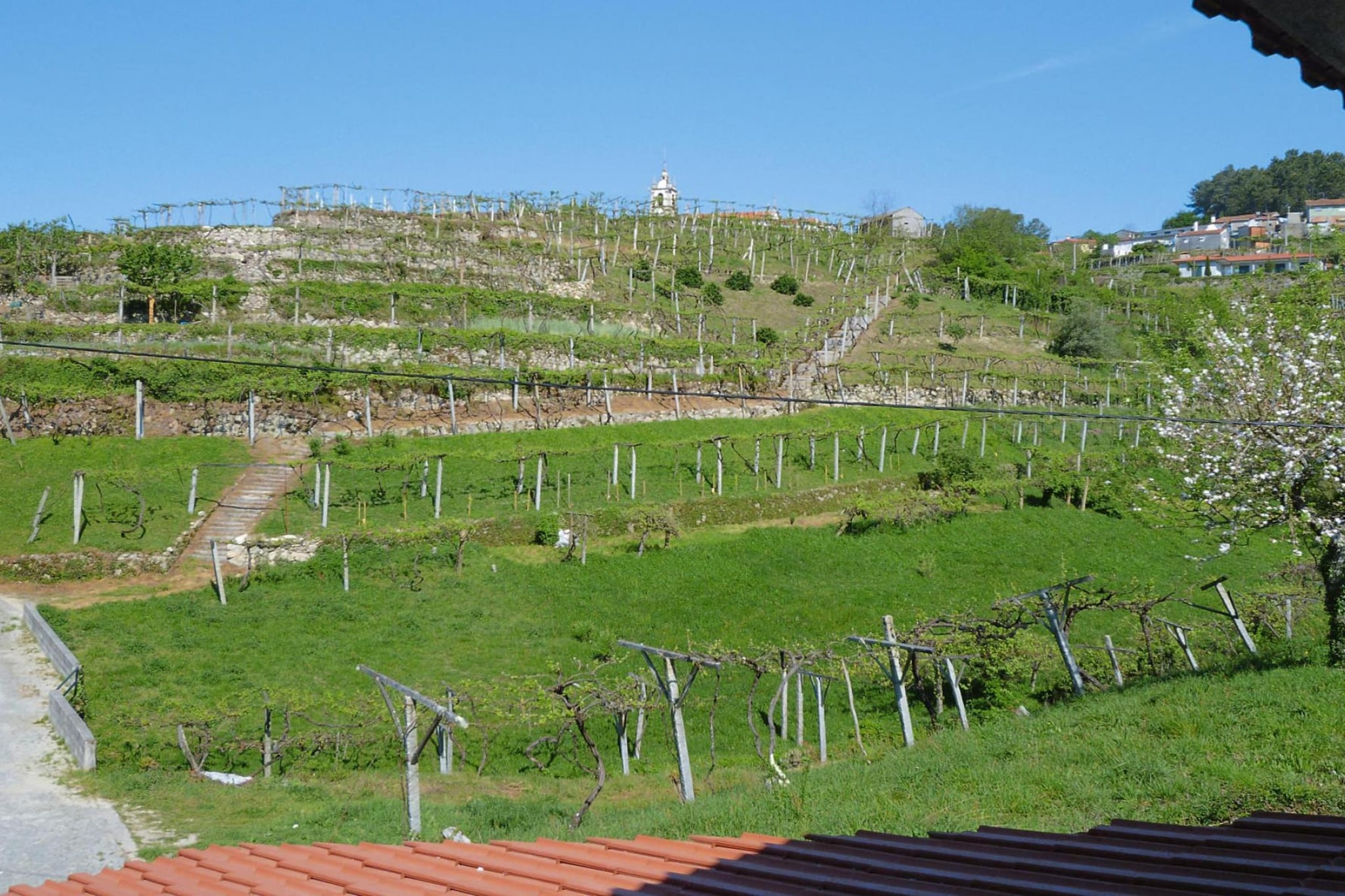 Holiday home Vale de Cambra - Aussicht Sommer