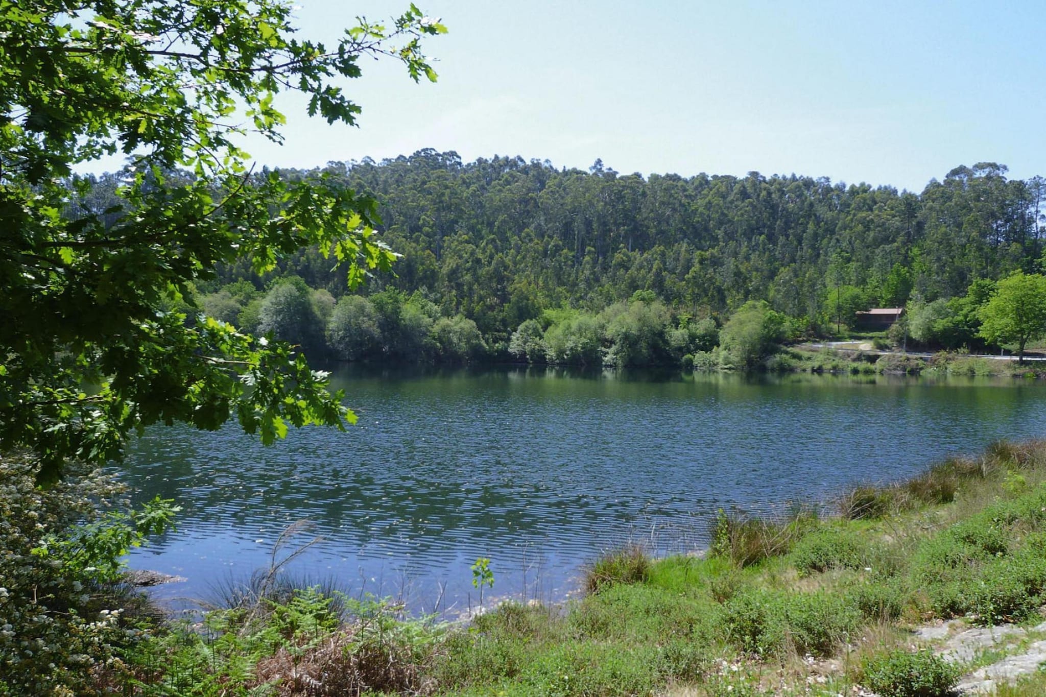 Holiday home Vale de Cambra - Gebiete Sommer 1 km