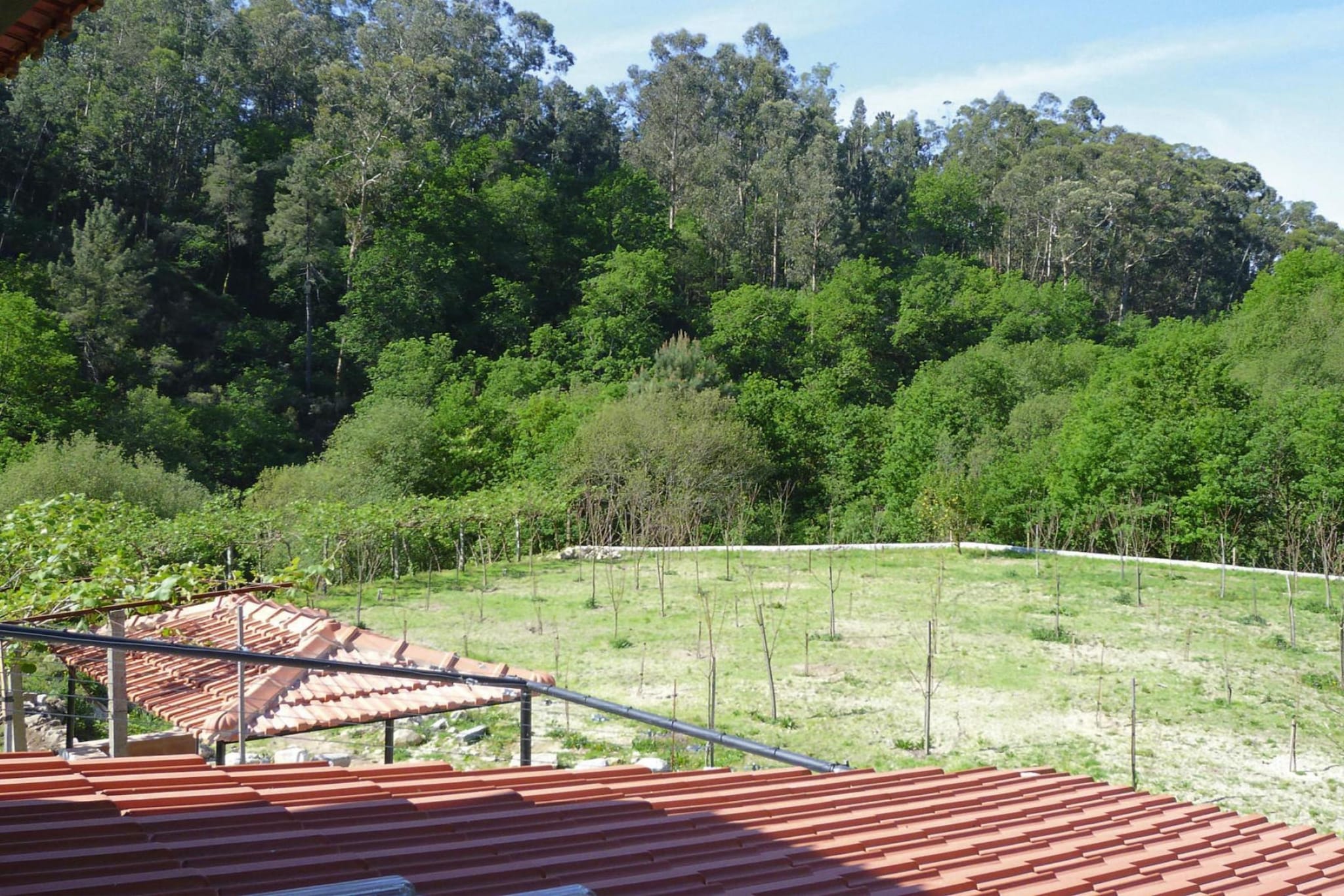 Holiday home Vale de Cambra - Aussicht Sommer