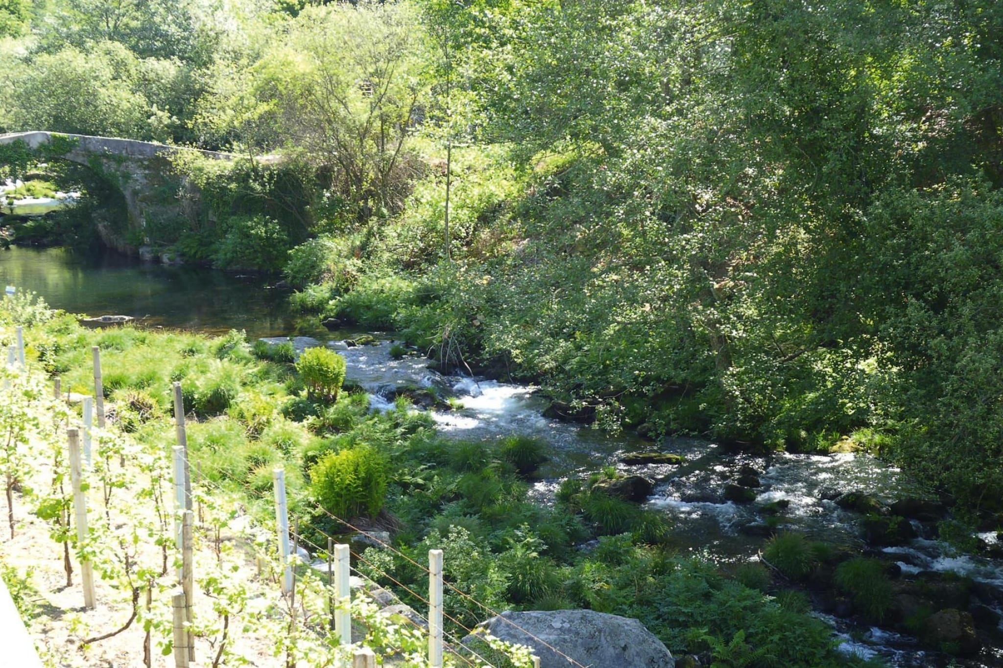 Holiday home Vale de Cambra - Gebiete Sommer 1 km